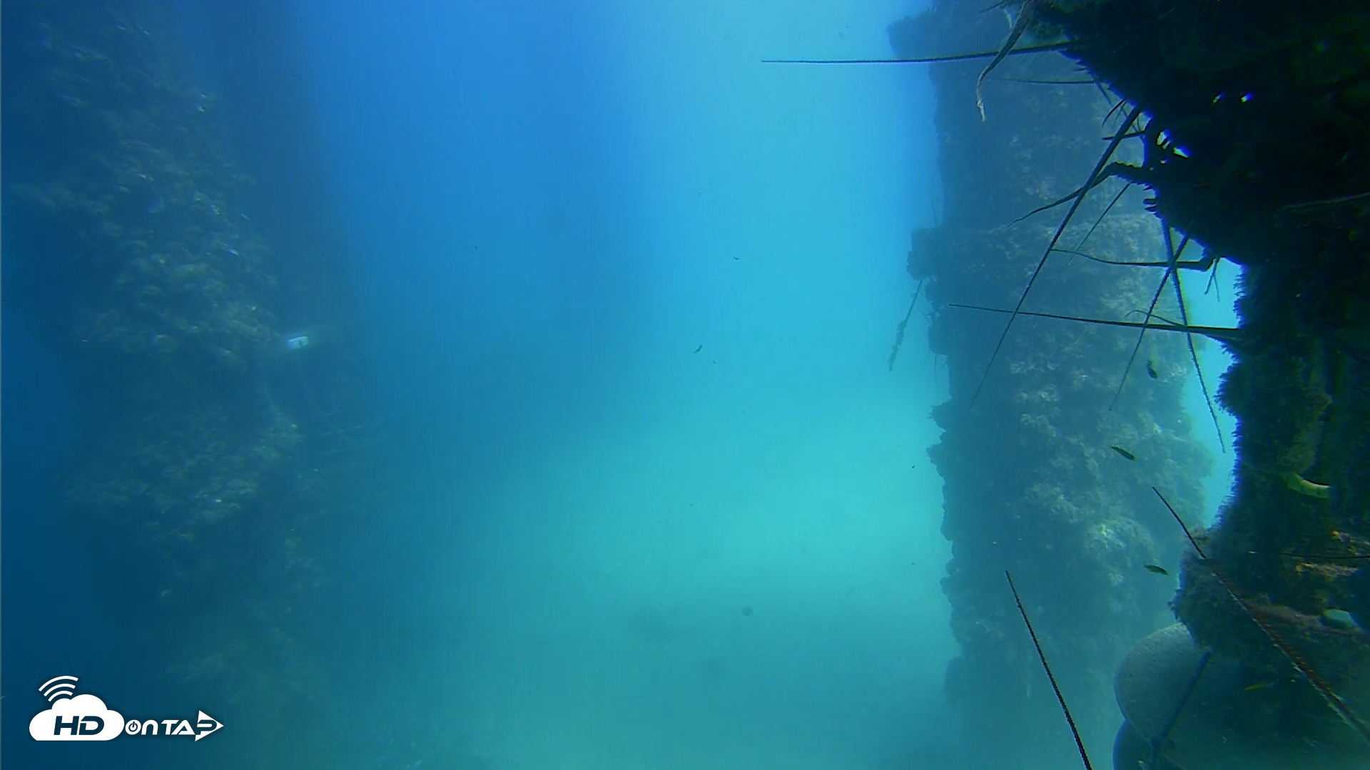 Snapshot of Scripps Pier Underwater Live Webcam taken Aug 22, 2025, 1:58pm PDT