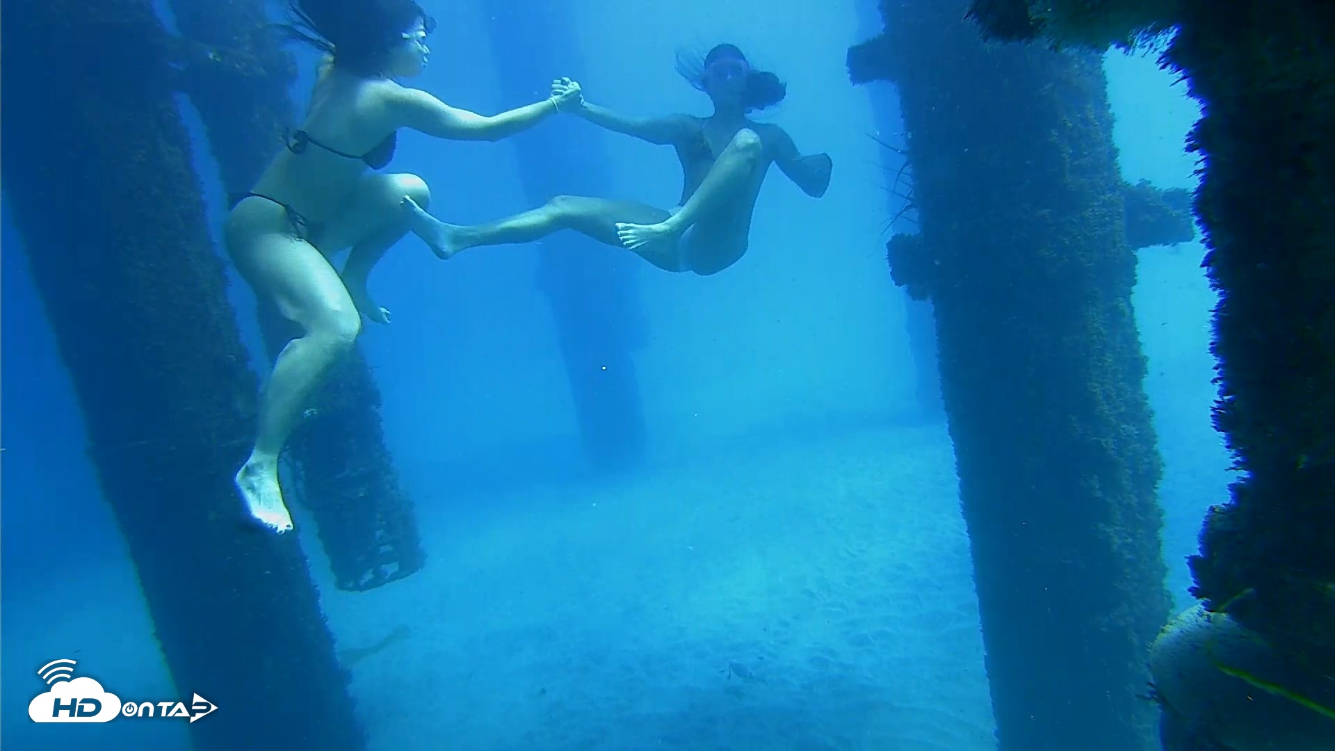 Snapshot of Scripps Pier Underwater Live Webcam taken Oct 19, 2026, 1:03pm PDT