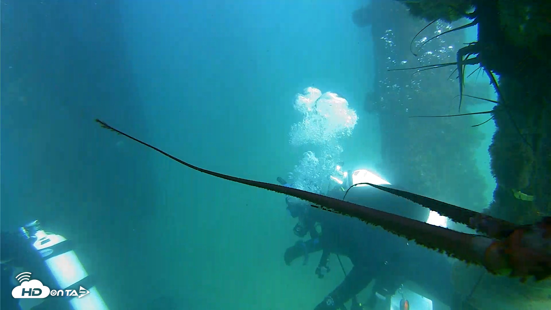 Snapshot of Scripps Pier Underwater Live Webcam taken Sep 10, 2025, 3:34pm PDT