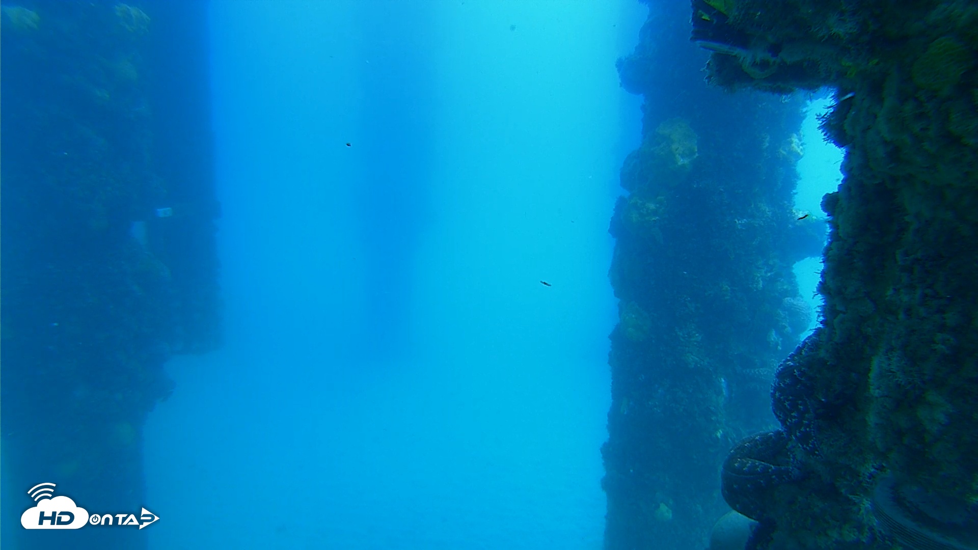 Snapshot of Scripps Pier Underwater Live Webcam taken May 1, 2025, 2:18pm PDT
