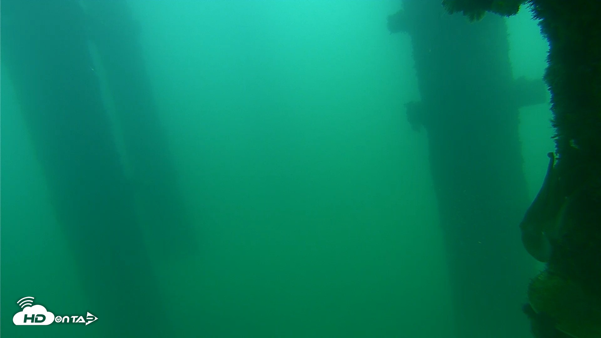 Snapshot of Scripps Pier Underwater Live Webcam taken Sep 24, 2026, 8:16am PDT