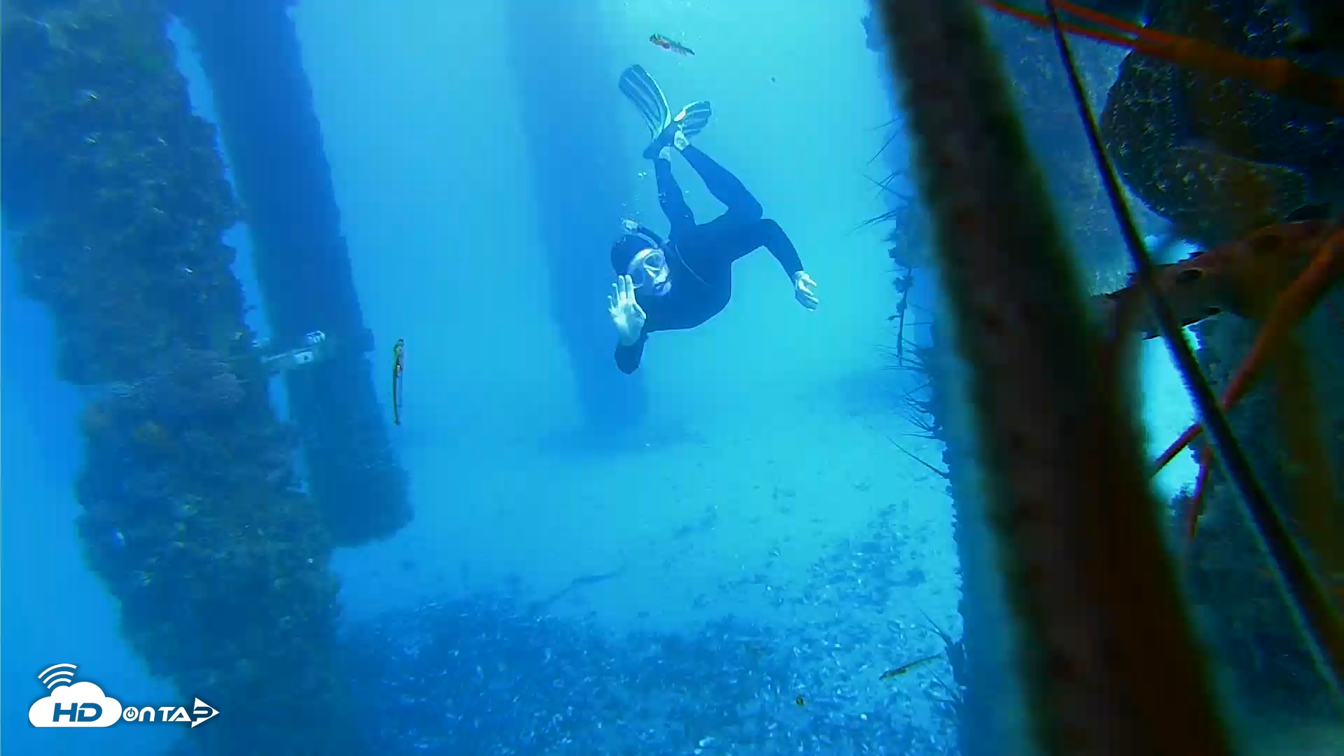 Snapshot of Scripps Pier Underwater Live Webcam taken Jan 28, 2026, 2:09pm PST