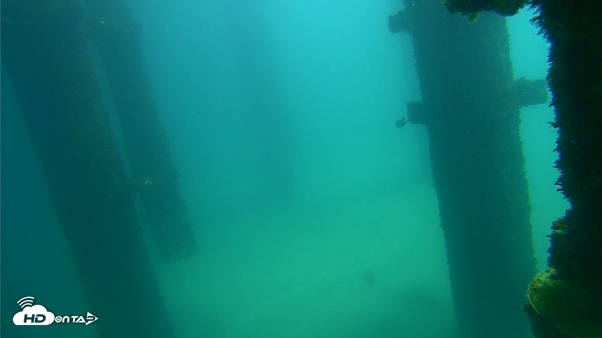 Snapshot of Scripps Pier Underwater Live Webcam taken Sep 24, 2026, 12:18pm PDT