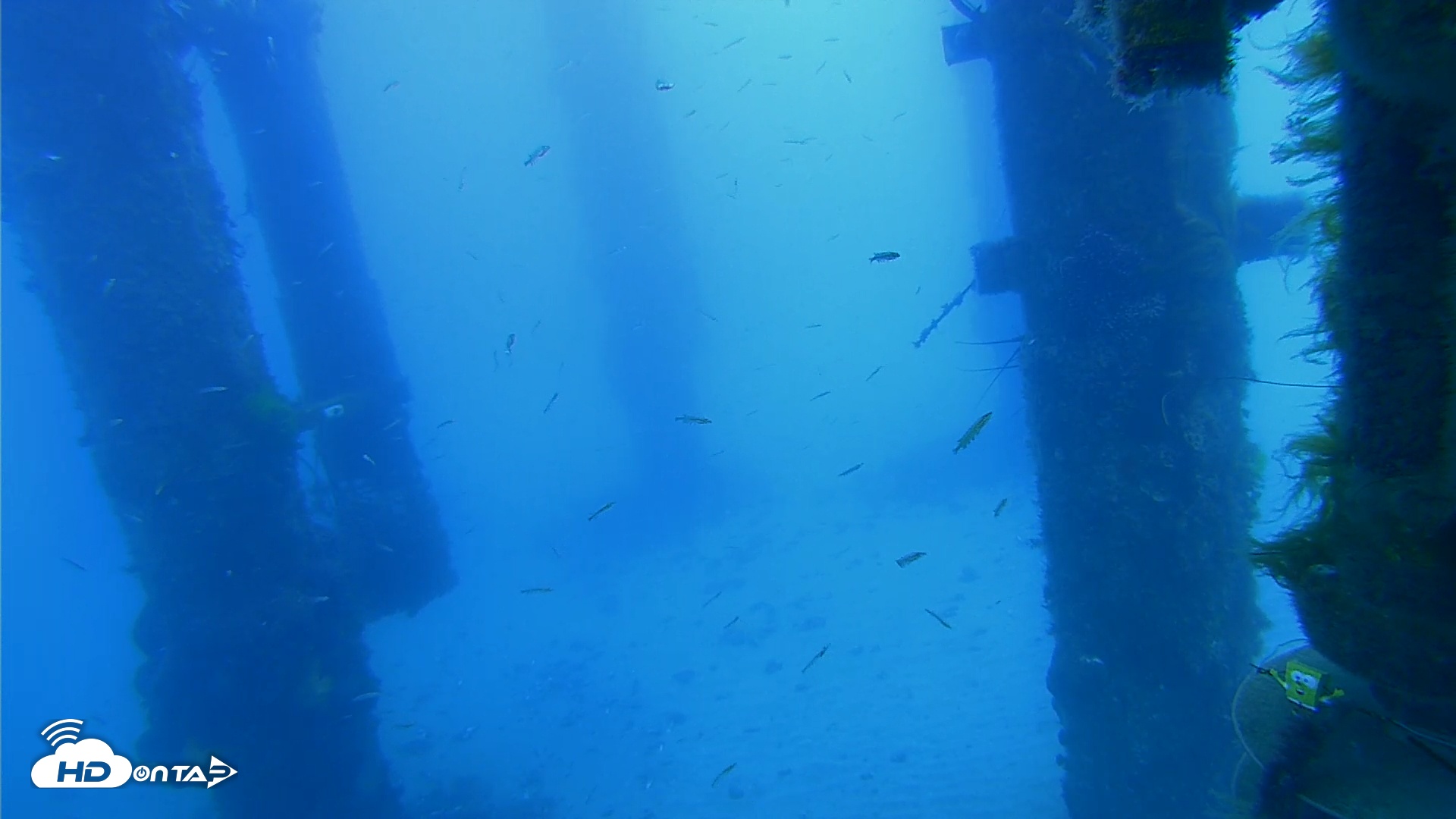 Snapshot of Scripps Pier Underwater Live Webcam taken Apr 1, 2026, 8:09am PDT