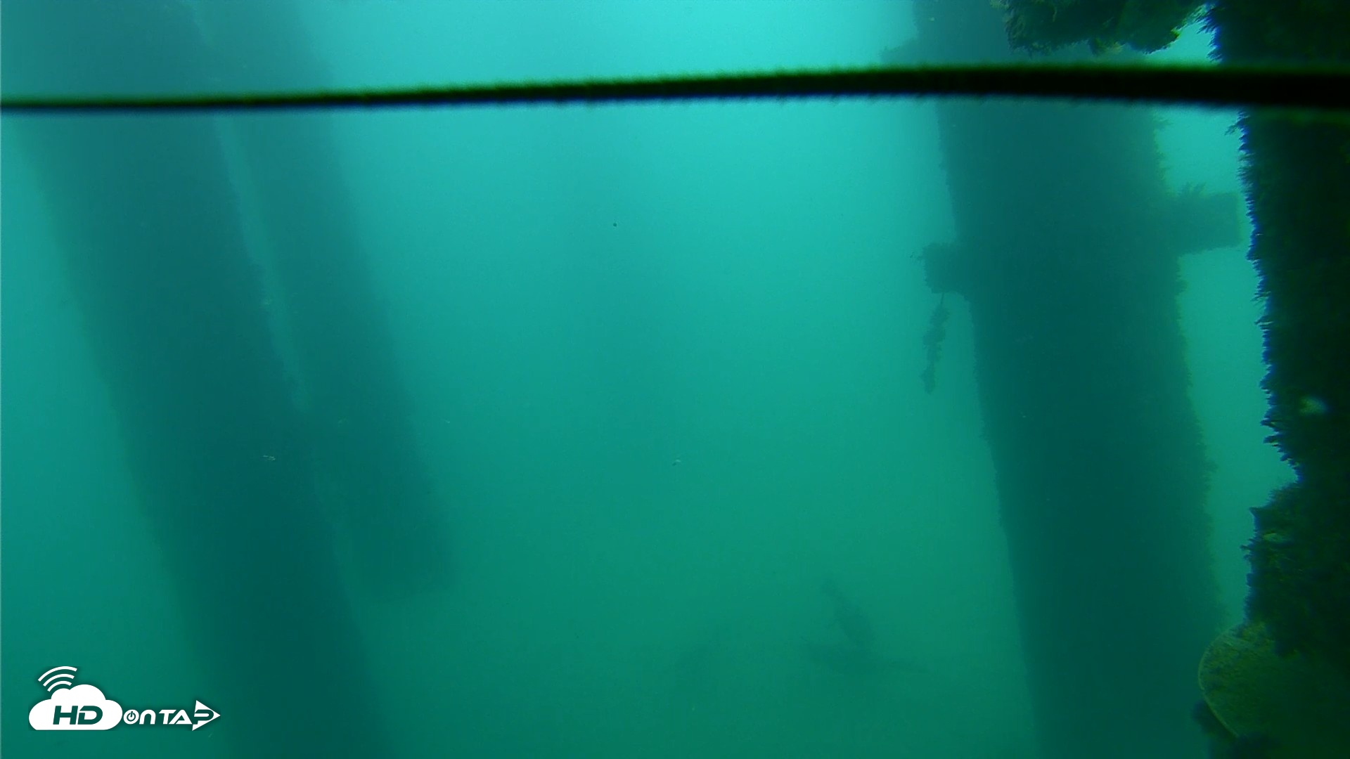 Snapshot of Scripps Pier Underwater Live Webcam taken Sep 18, 2026, 7:59am PDT
