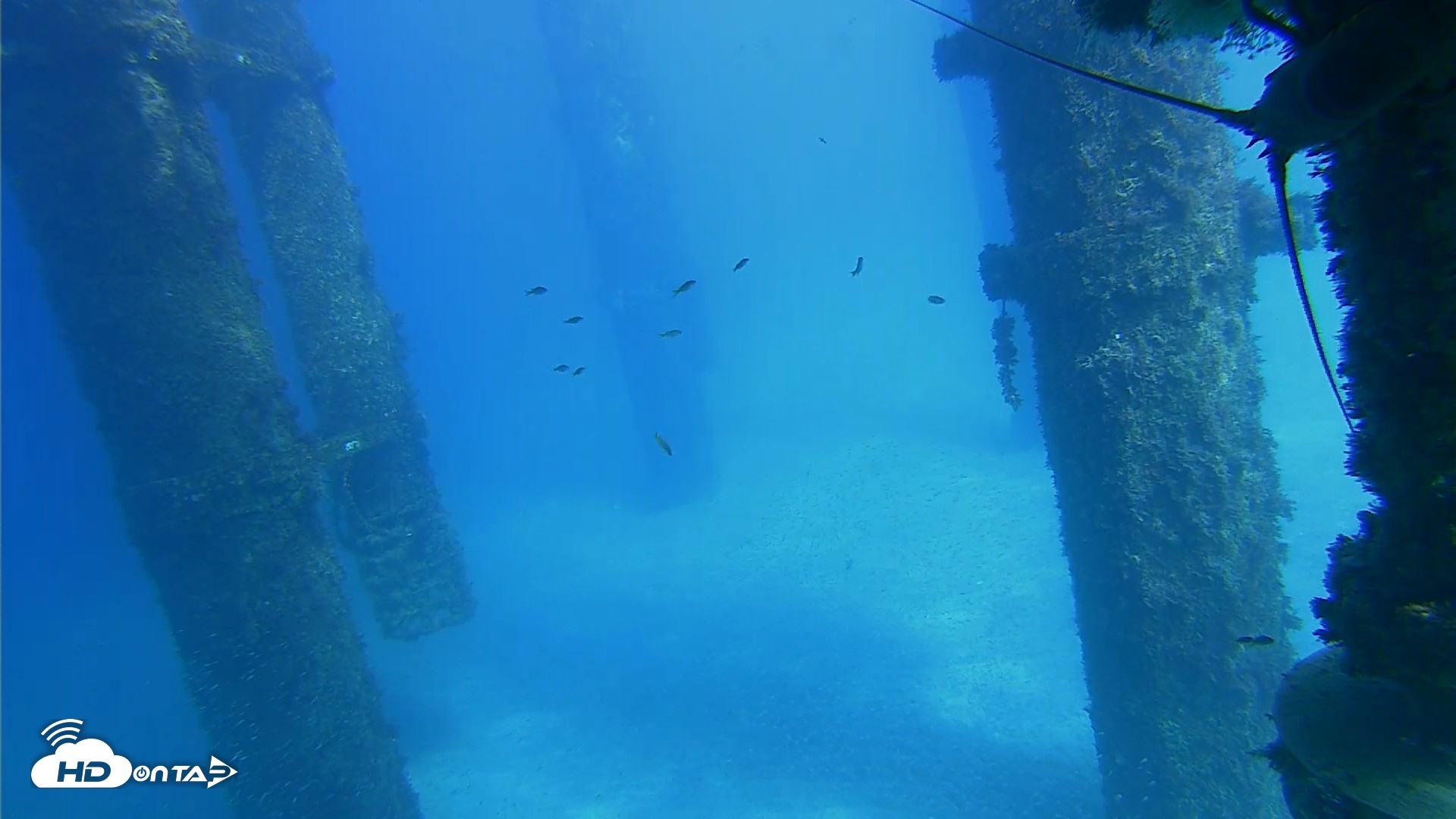 Snapshot of Scripps Pier Underwater Live Webcam taken Oct 16, 2026, 3:12pm PDT