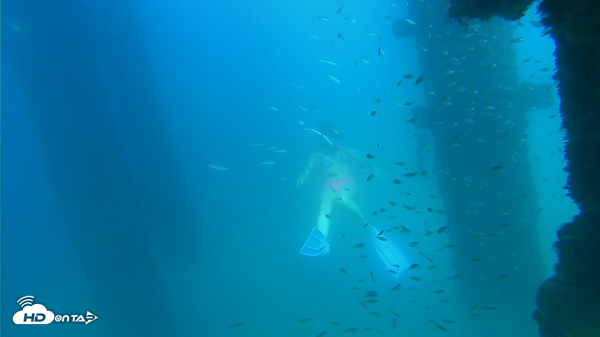 Snapshot of Scripps Pier Underwater Live Webcam taken Sep 16, 2026, 3:46pm PDT