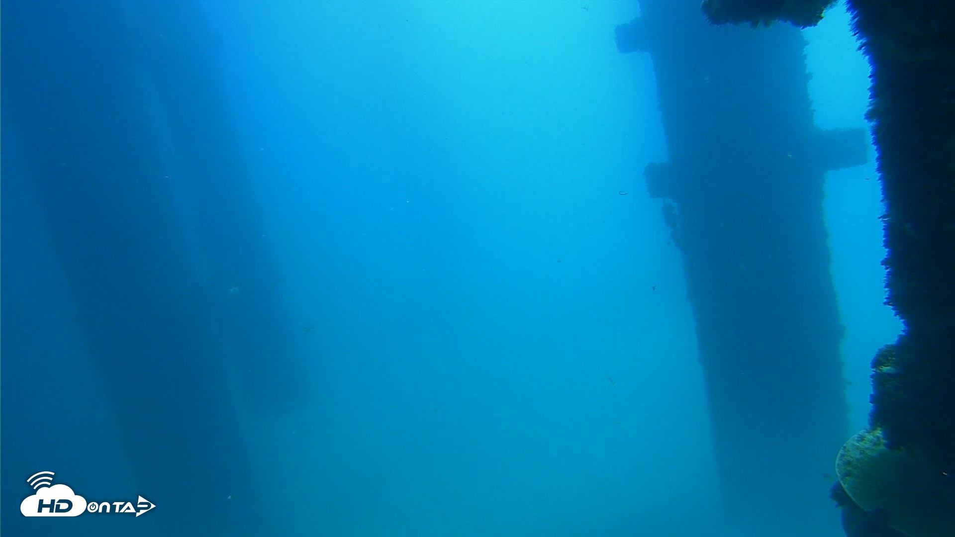 Snapshot of Scripps Pier Underwater Live Webcam taken Sep 19, 2026, 12:00pm PDT
