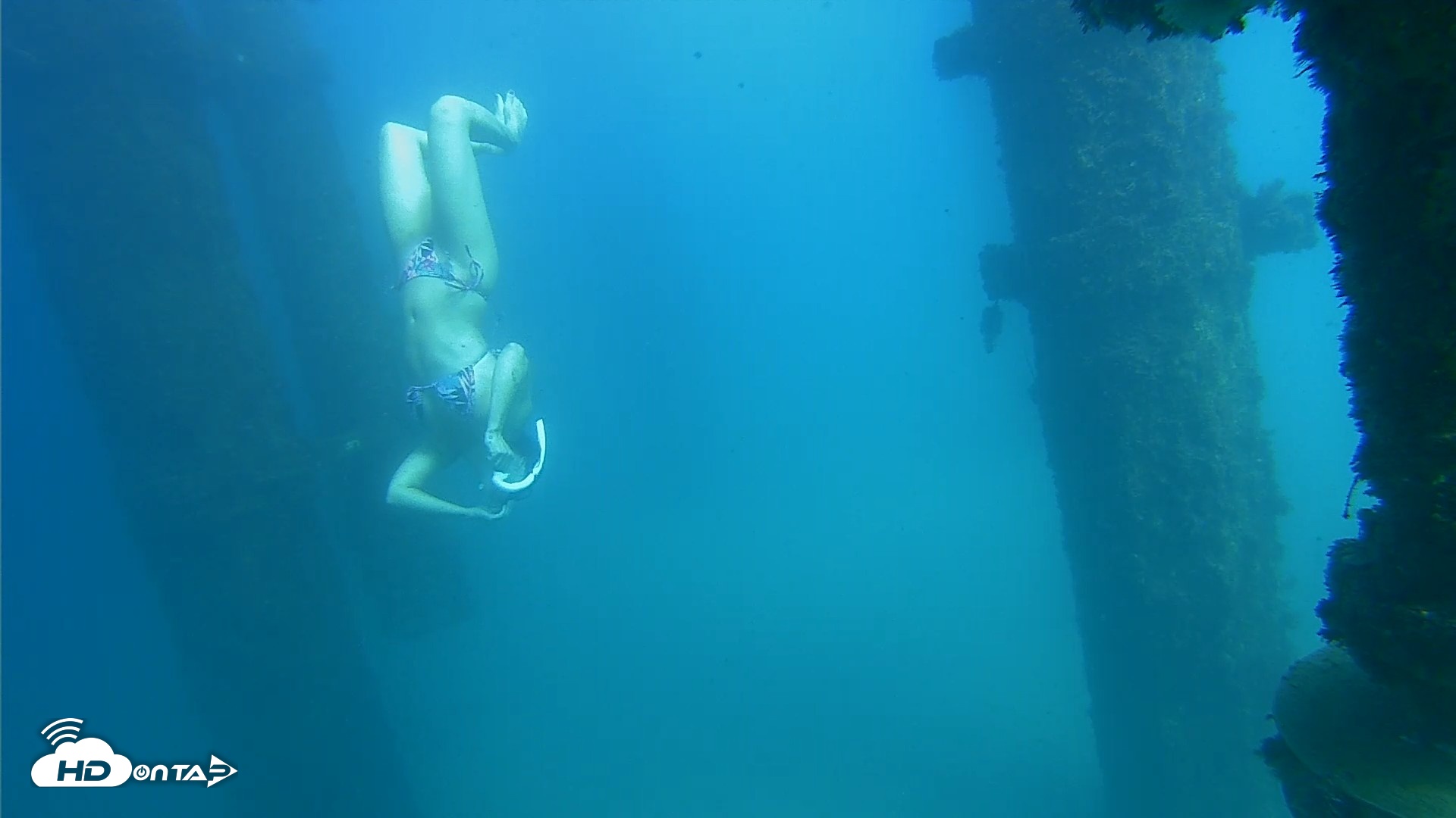 Snapshot of Scripps Pier Underwater Live Webcam taken Oct 15, 2026, 2:57pm PDT