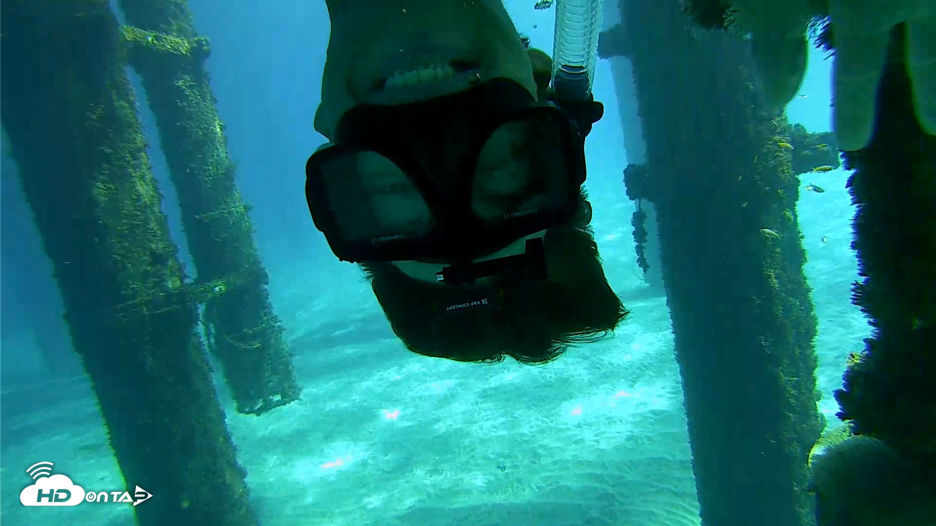 Snapshot of Scripps Pier Underwater Live Webcam taken Oct 18, 2026, 12:30pm PDT