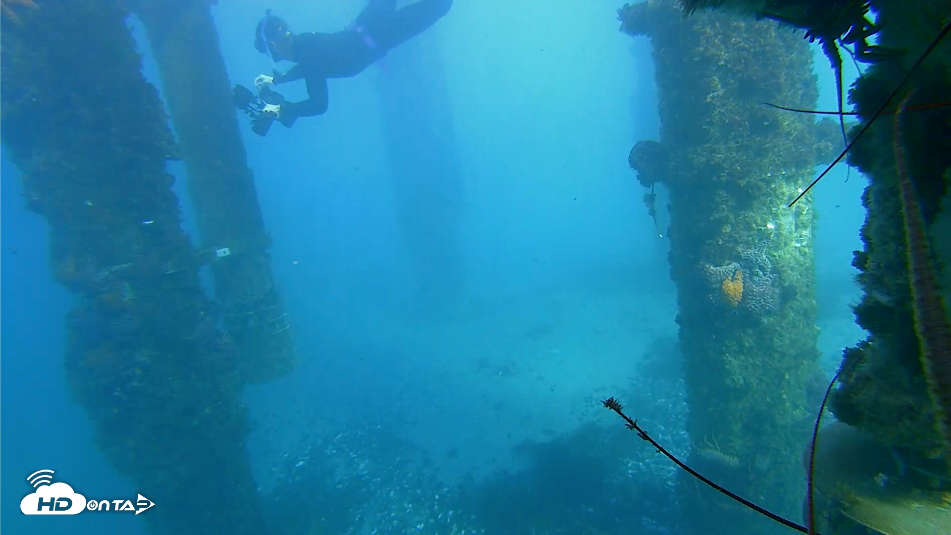 Snapshot of Scripps Pier Underwater Live Webcam taken Jan 17, 2026, 3:43pm PST
