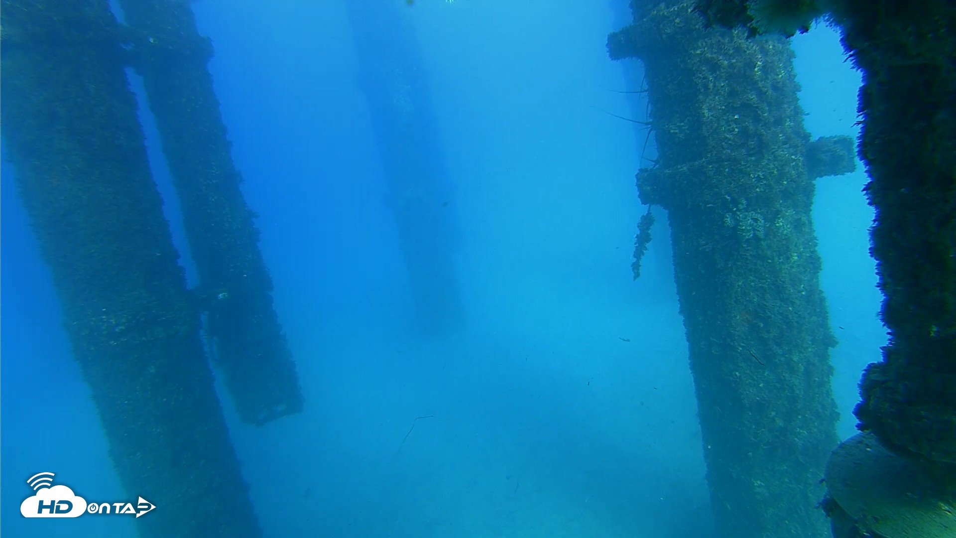 Snapshot of Scripps Pier Underwater Live Webcam taken Oct 19, 2026, 4:44pm PDT