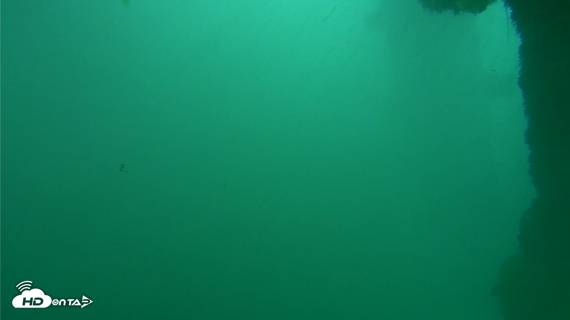 Snapshot of Scripps Pier Underwater Live Webcam taken Oct 11, 2026, 11:56am PDT