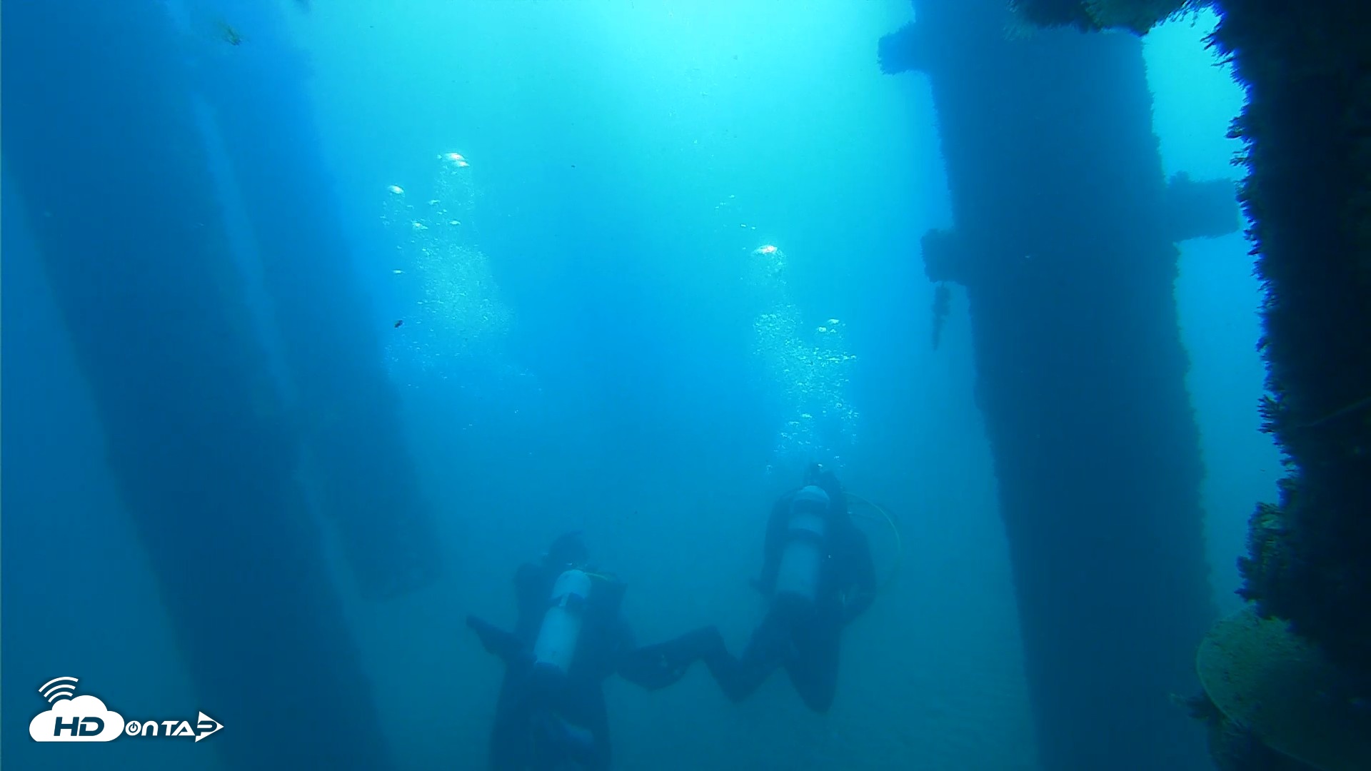 Snapshot of Scripps Pier Underwater Live Webcam taken Oct 14, 2026, 9:45am PDT