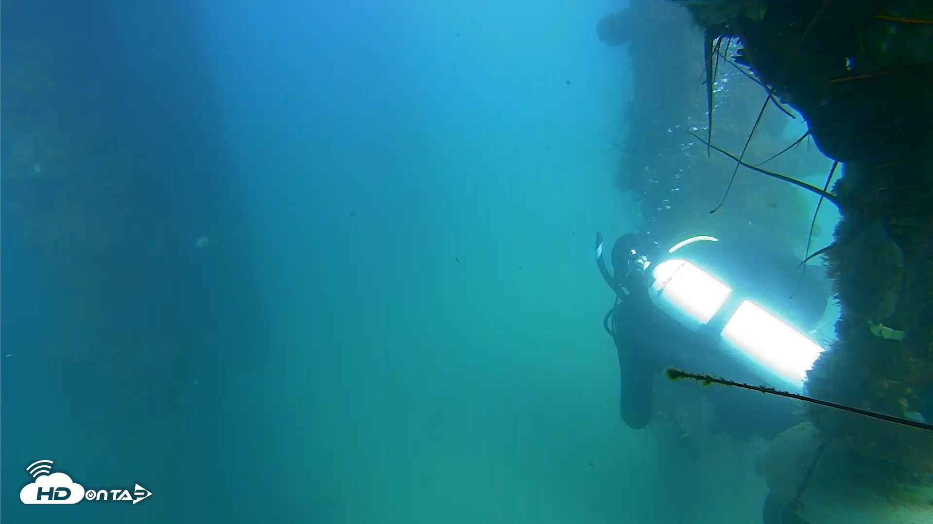 Snapshot of Scripps Pier Underwater Live Webcam taken Sep 10, 2025, 3:31pm PDT