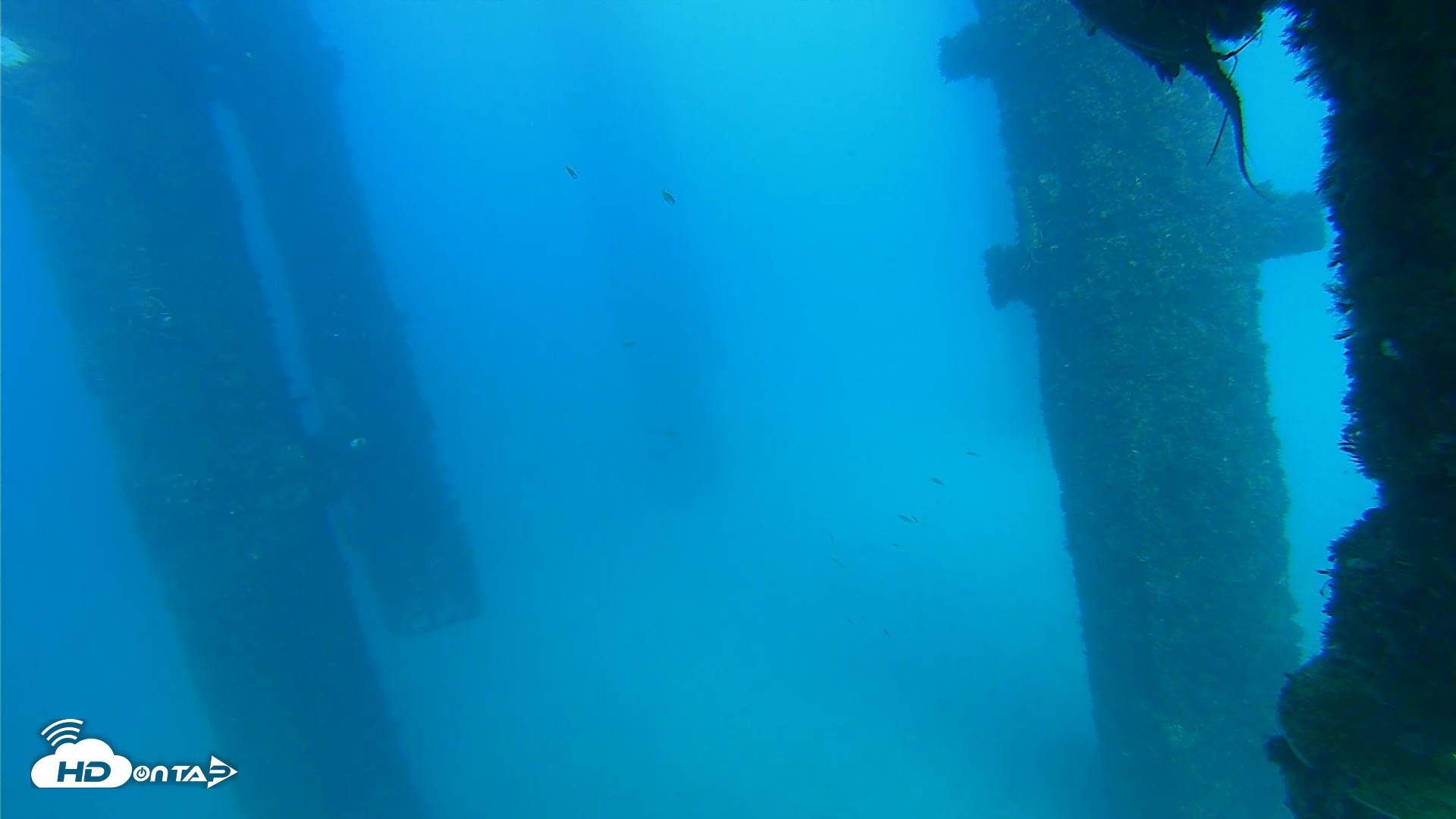 Snapshot of Scripps Pier Underwater Live Webcam taken Sep 26, 2026, 4:28pm PDT