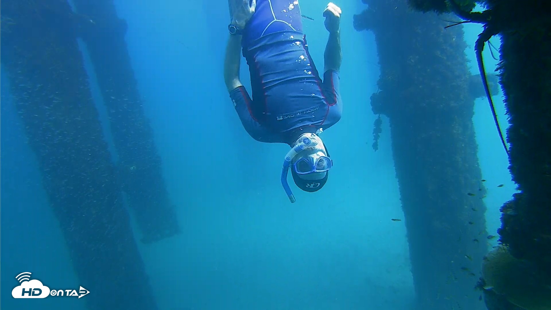 Snapshot of Scripps Pier Underwater Live Webcam taken Oct 7, 2026, 2:11pm PDT