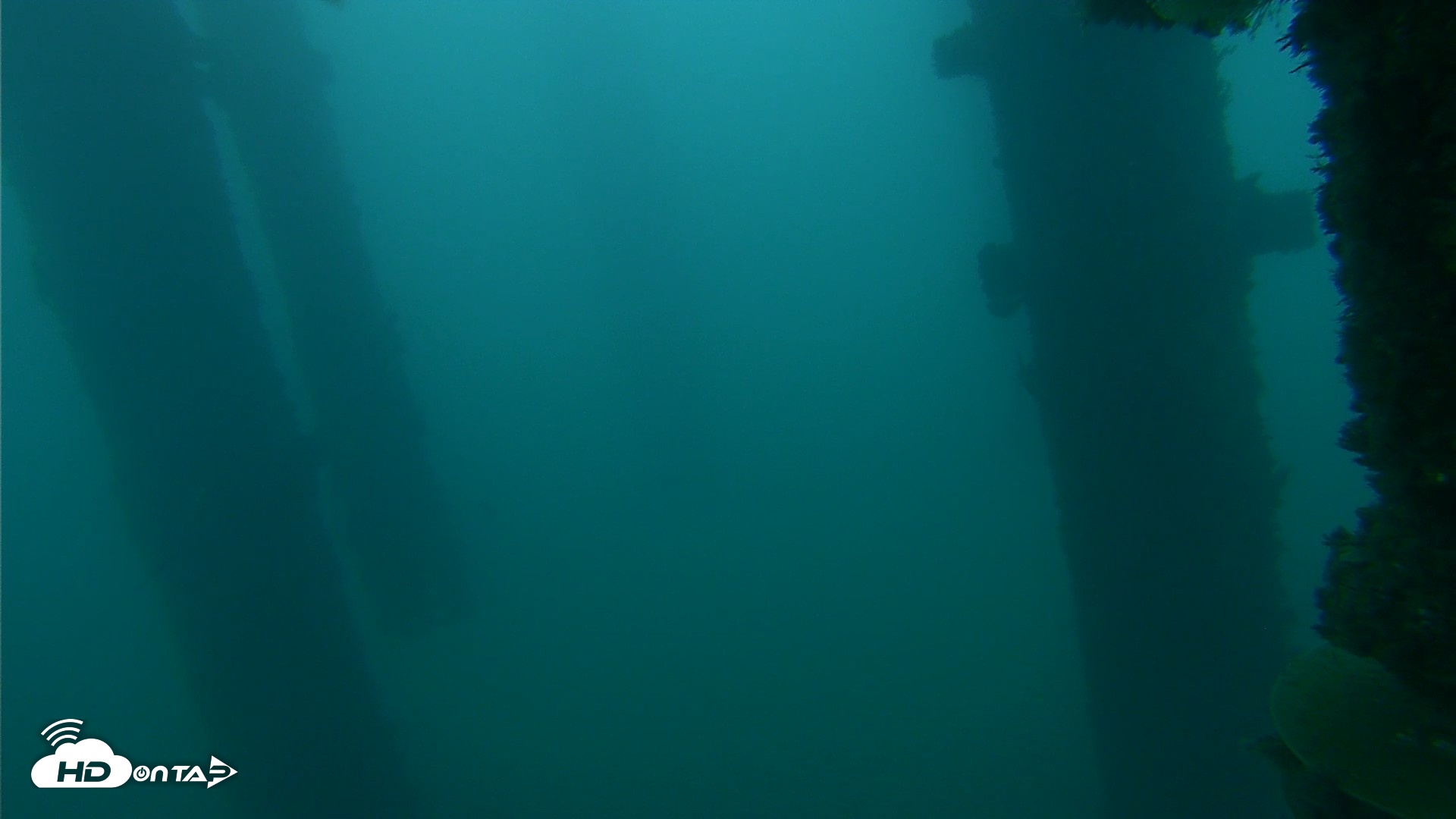 Snapshot of Scripps Pier Underwater Live Webcam taken Oct 14, 2026, 6:56am PDT