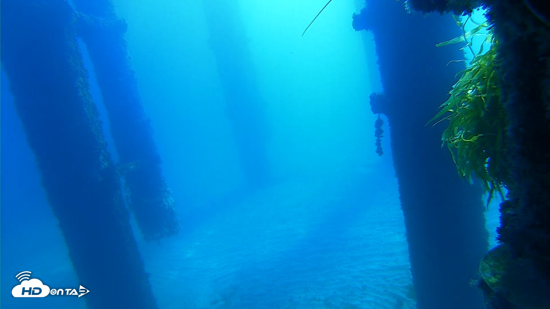 Snapshot of Scripps Pier Underwater Live Webcam taken Oct 5, 2026, 10:11am PDT