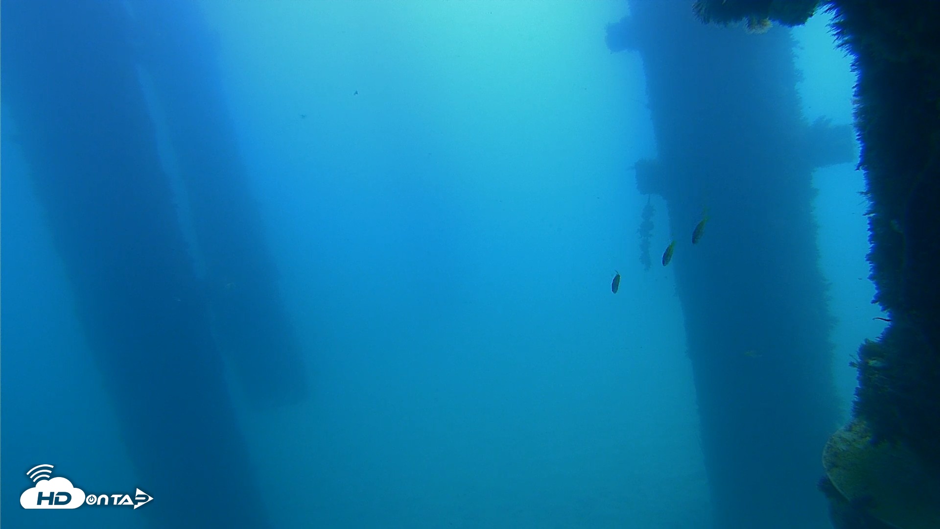 Snapshot of Scripps Pier Underwater Live Webcam taken Sep 21, 2026, 11:27am PDT