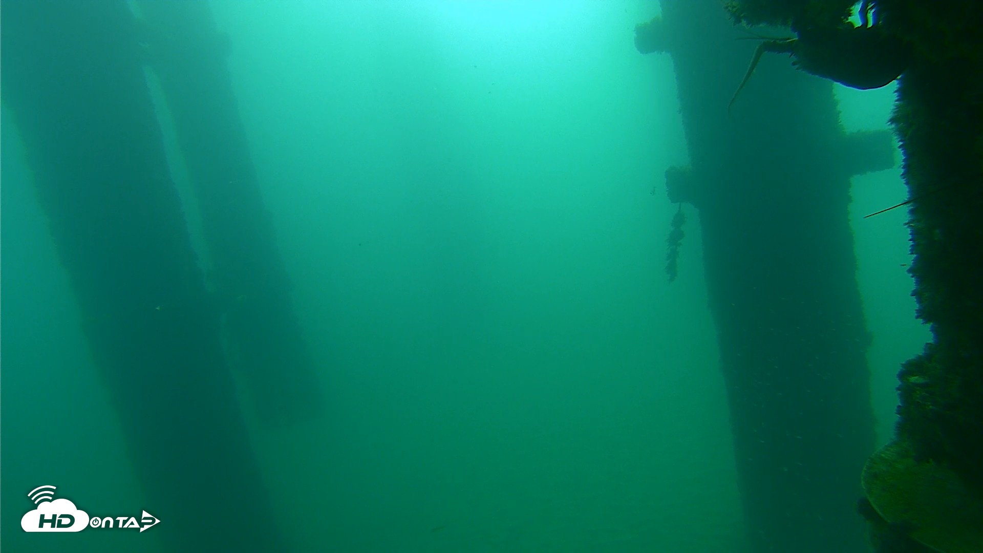 Snapshot of Scripps Pier Underwater Live Webcam taken Sep 22, 2026, 8:31am PDT