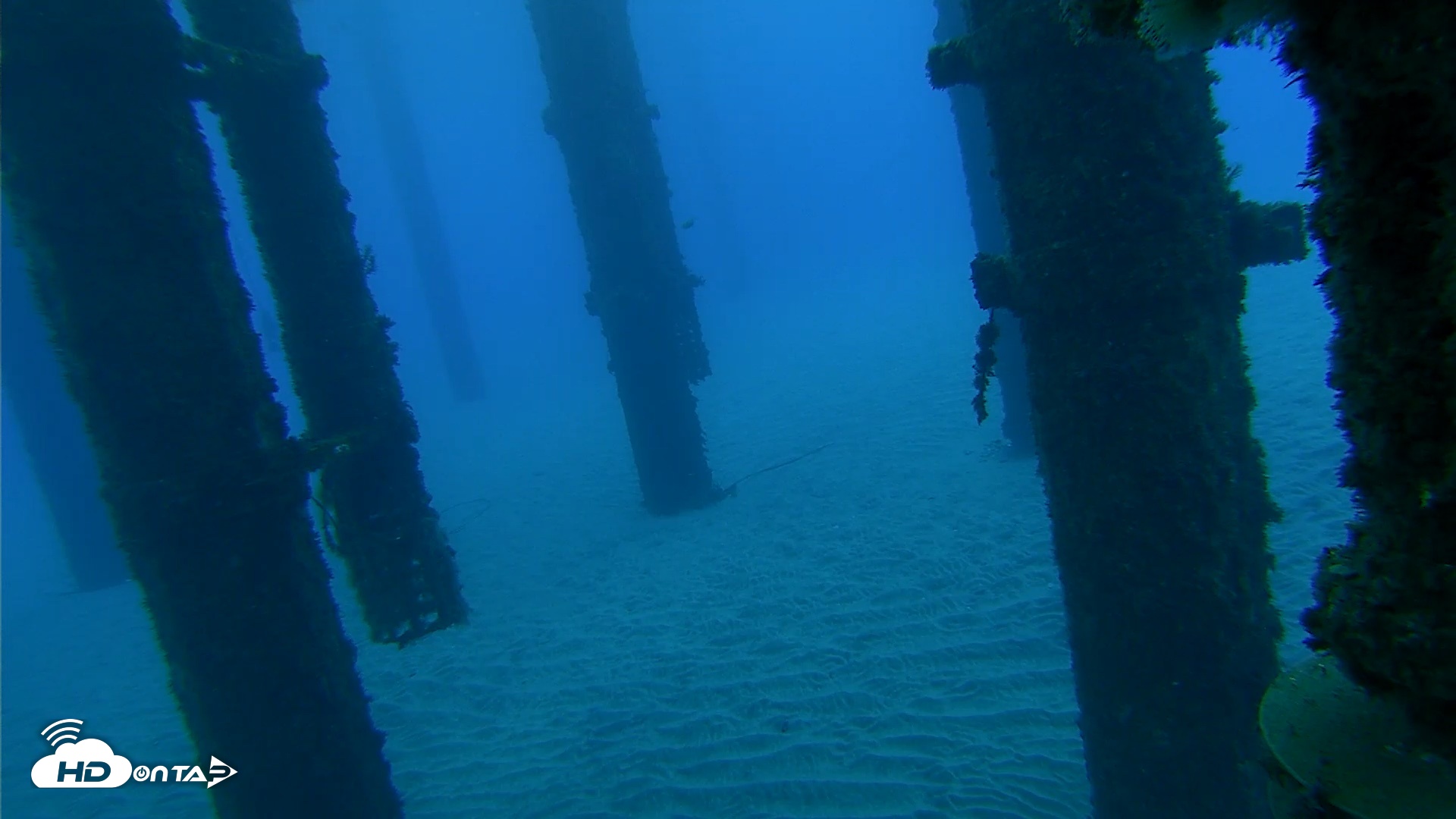 Snapshot of Scripps Pier Underwater Live Webcam taken Oct 18, 2026, 6:59am PDT