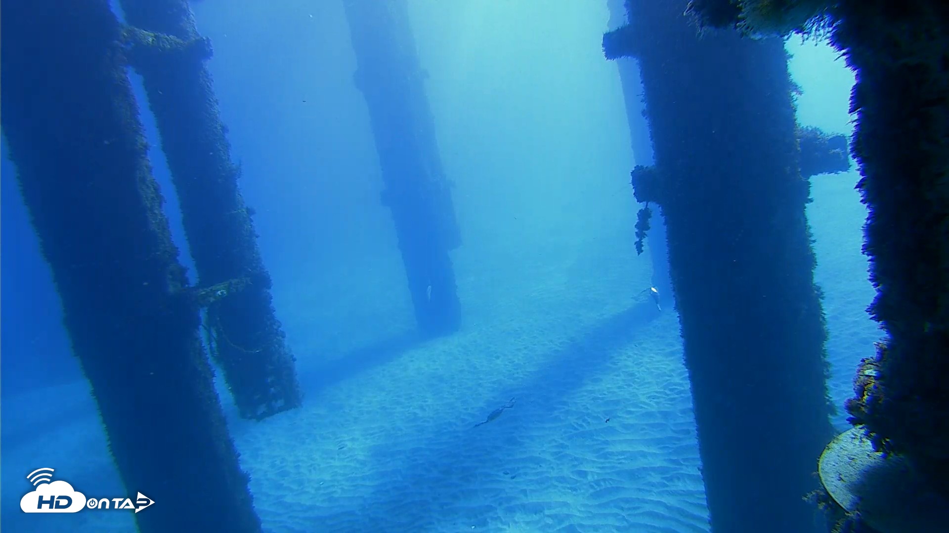 Snapshot of Scripps Pier Underwater Live Webcam taken Oct 19, 2026, 10:13am PDT