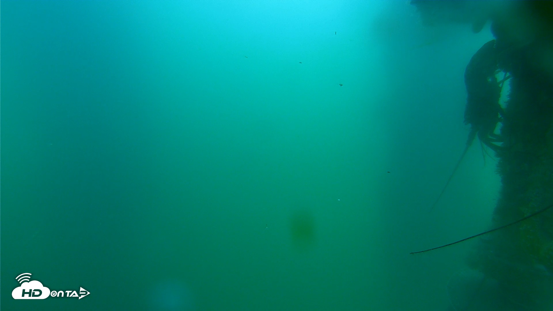 Snapshot of Scripps Pier Underwater Live Webcam taken Jul 22, 2025, 3:28pm PDT