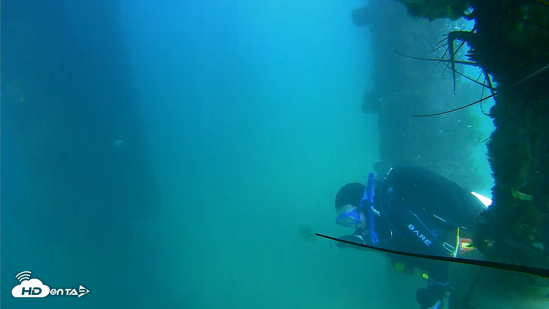 Snapshot of Scripps Pier Underwater Live Webcam taken Sep 10, 2025, 3:33pm PDT