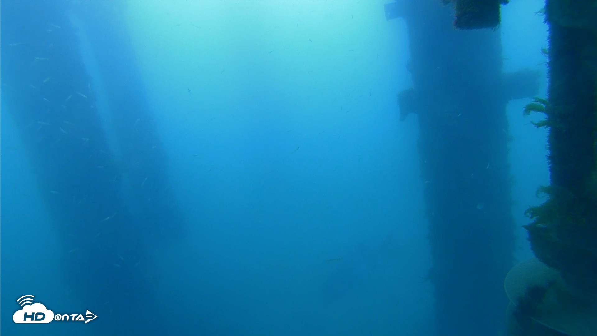 Snapshot of Scripps Pier Underwater Live Webcam taken Apr 13, 2026, 7:37am PDT