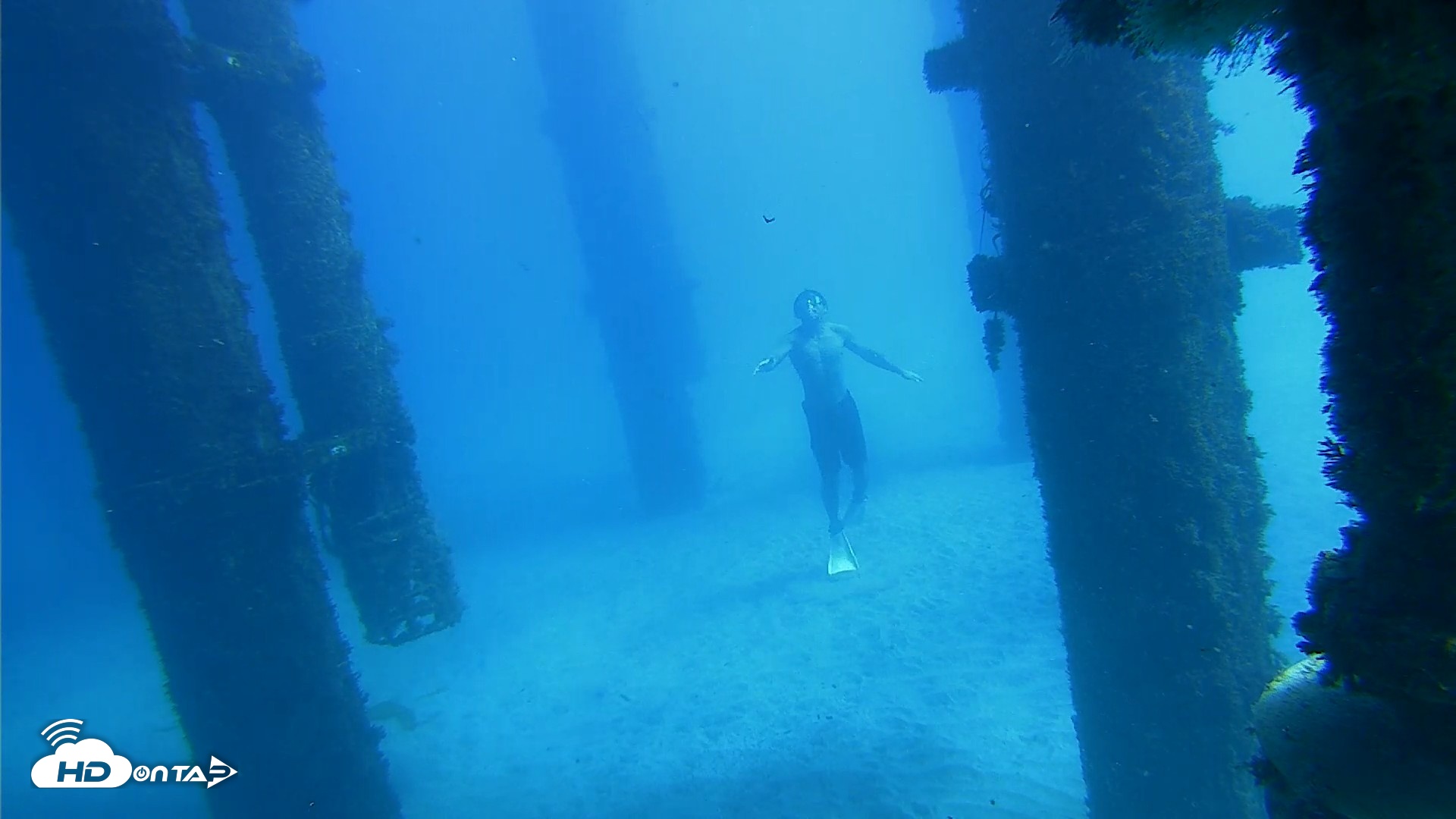 Snapshot of Scripps Pier Underwater Live Webcam taken Oct 19, 2026, 1:03pm PDT