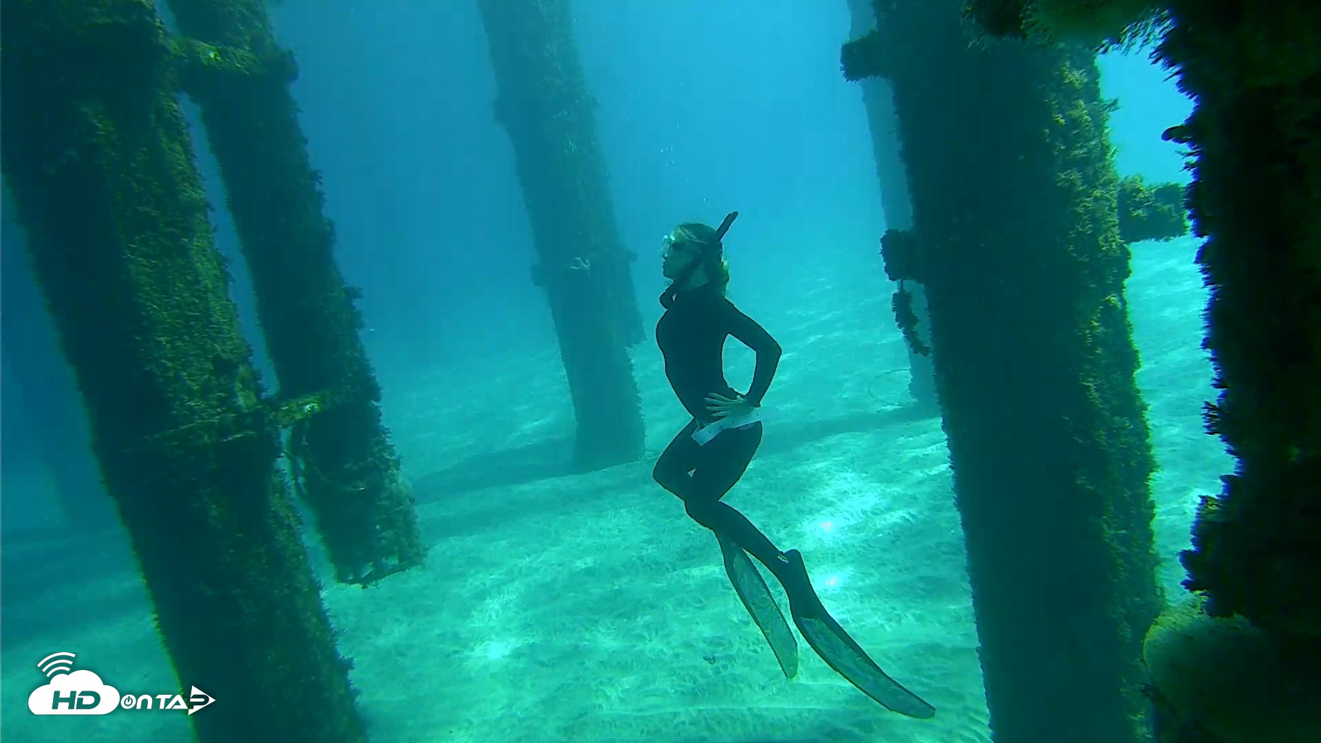 Snapshot of Scripps Pier Underwater Live Webcam taken Oct 18, 2026, 12:22pm PDT