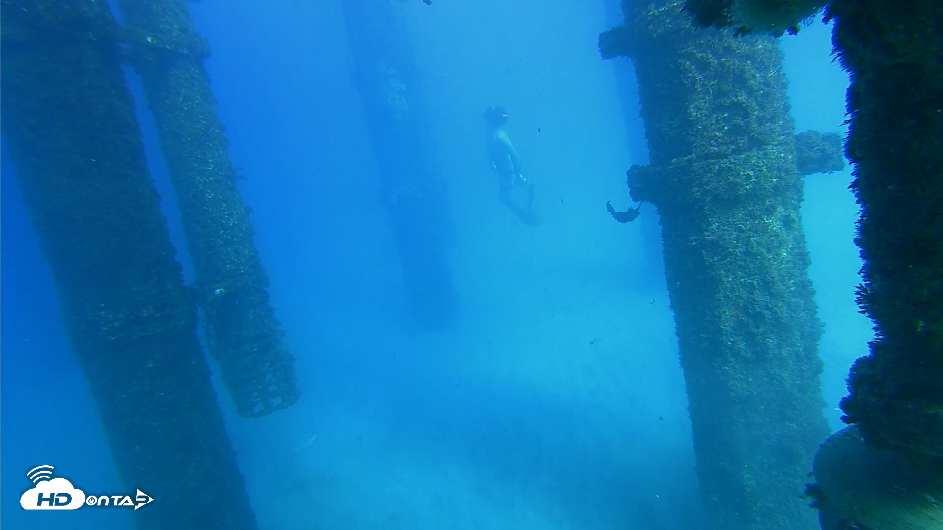 Snapshot of Scripps Pier Underwater Live Webcam taken Oct 19, 2026, 3:48pm PDT