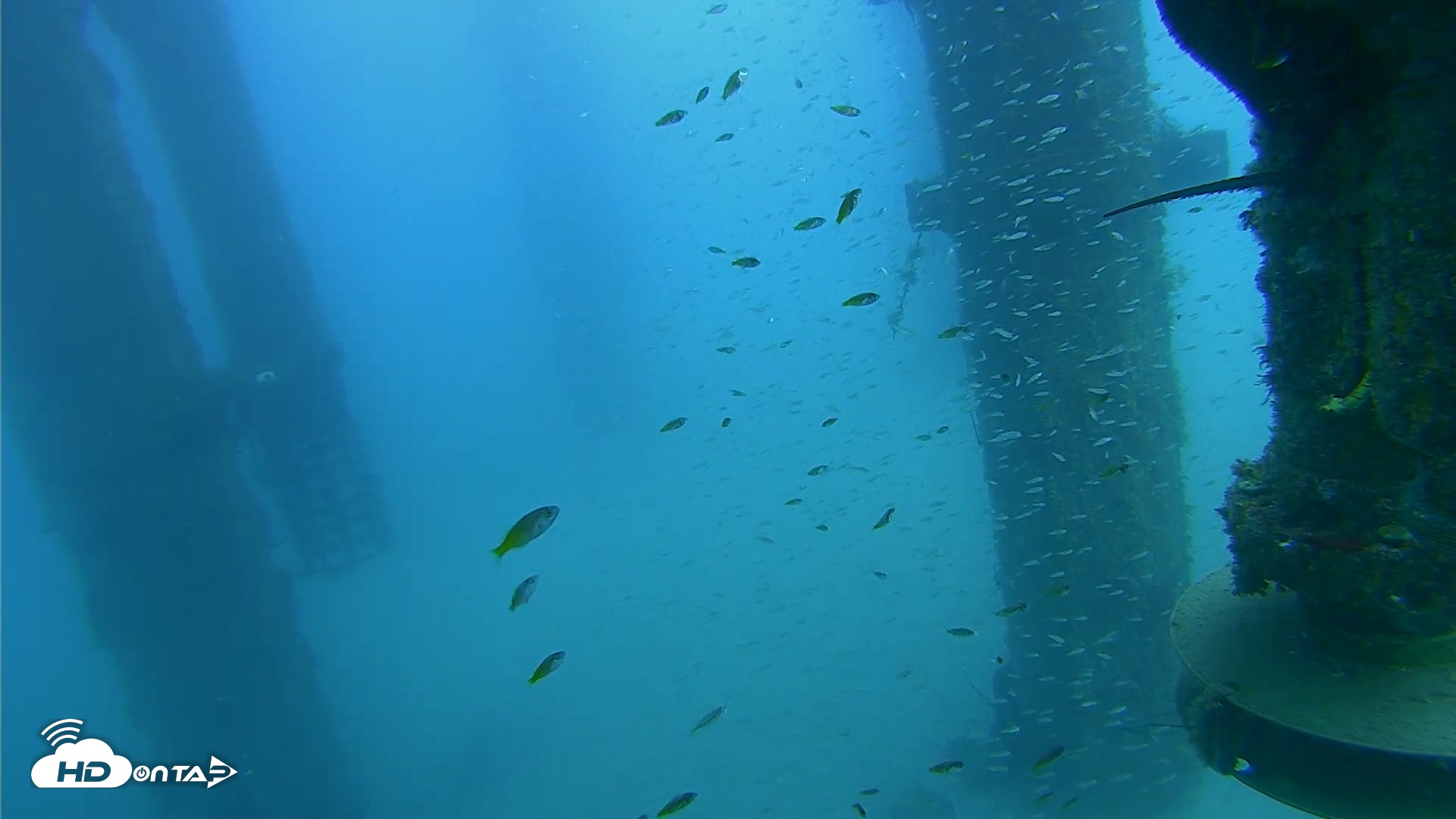 Snapshot of Scripps Pier Underwater Live Webcam taken Aug 5, 2026, 3:15pm PDT