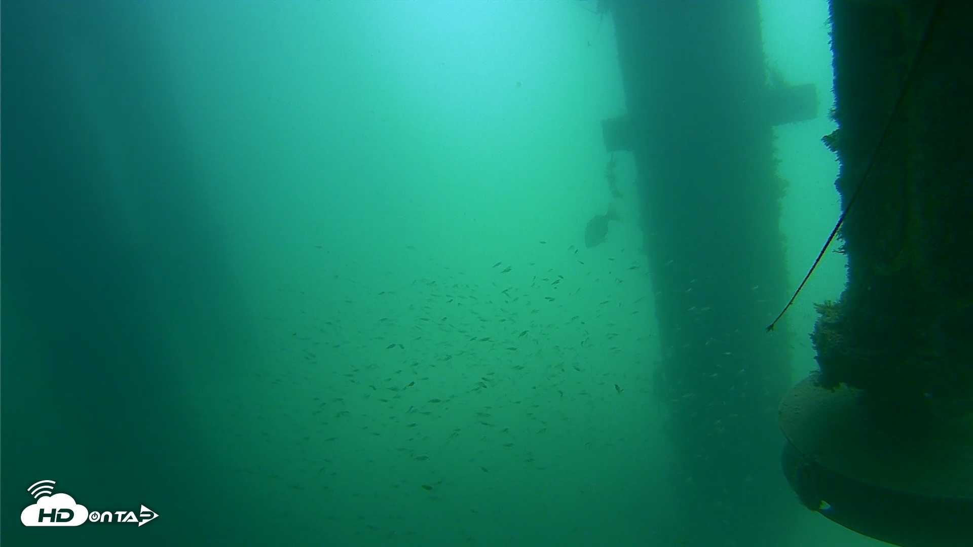 Snapshot of Scripps Pier Underwater Live Webcam taken Jul 31, 2026, 11:33am PDT
