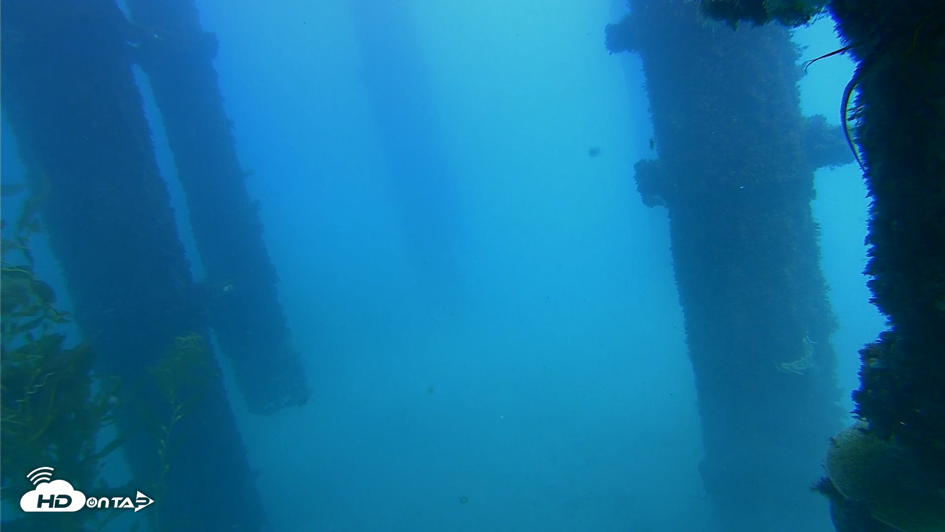 Snapshot of Scripps Pier Underwater Live Webcam taken Oct 7, 2026, 2:05pm PDT