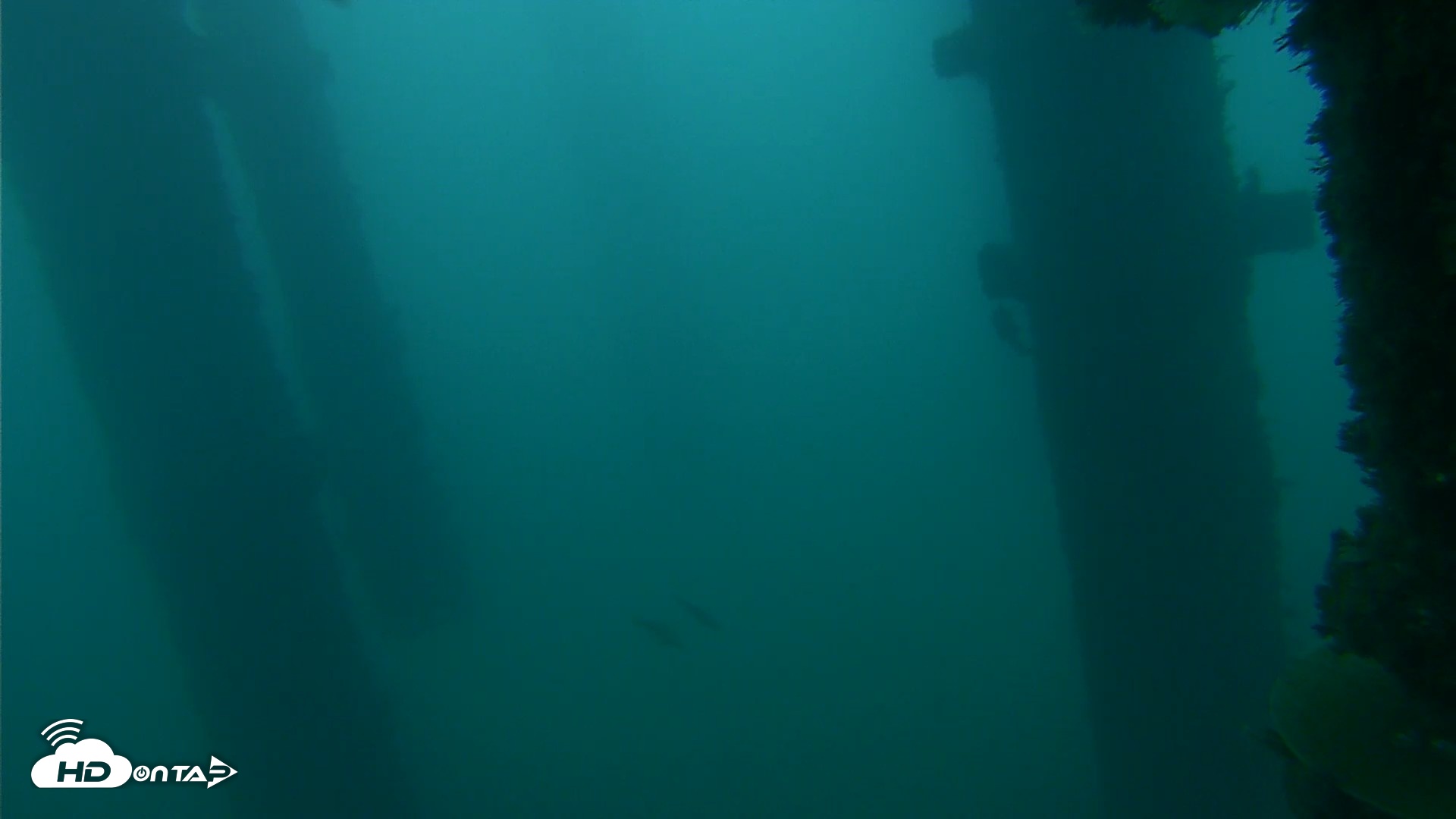 Snapshot of Scripps Pier Underwater Live Webcam taken Oct 14, 2026, 6:51am PDT