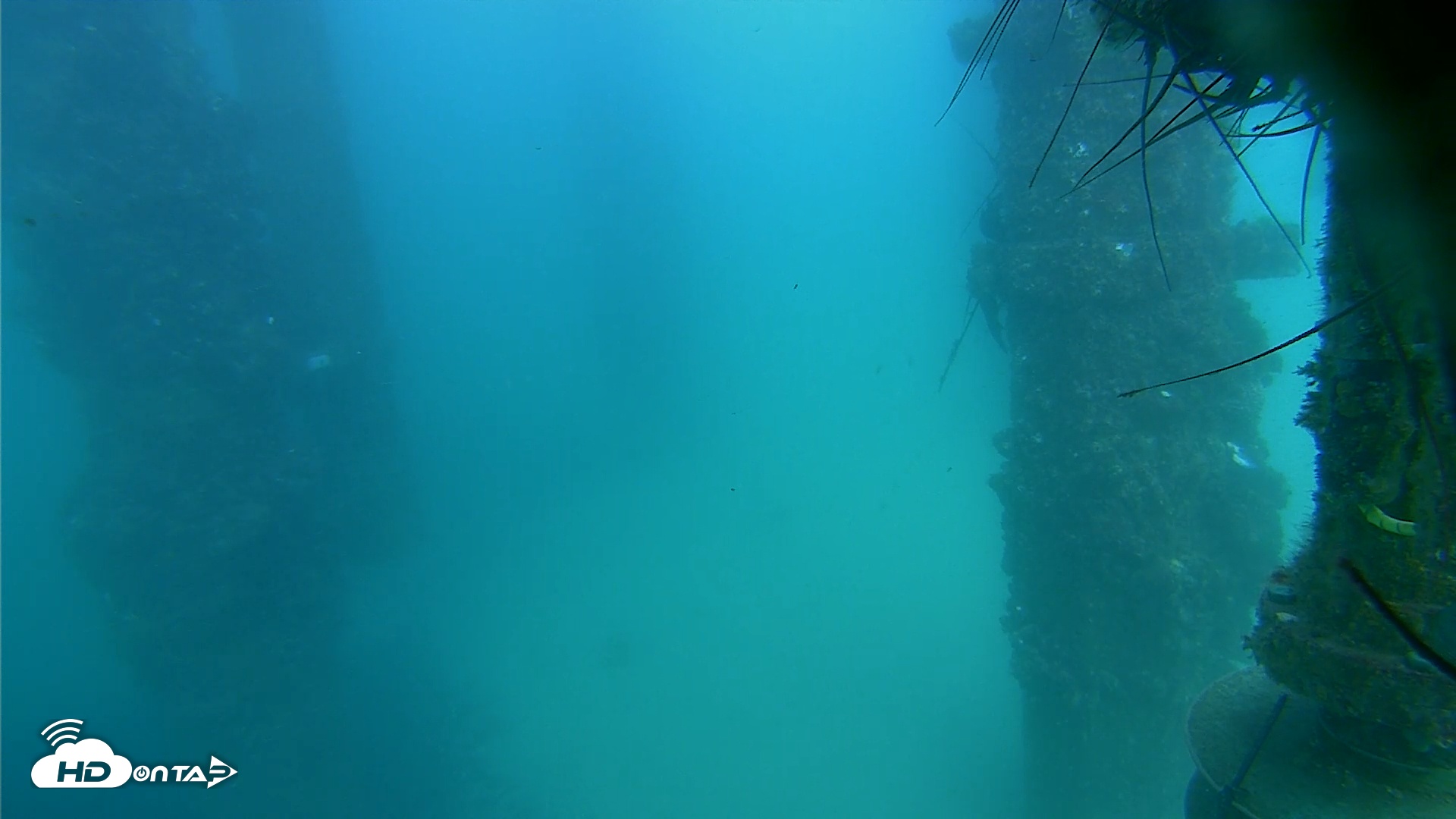 Snapshot of Scripps Pier Underwater Live Webcam taken Aug 14, 2025, 6:40pm PDT