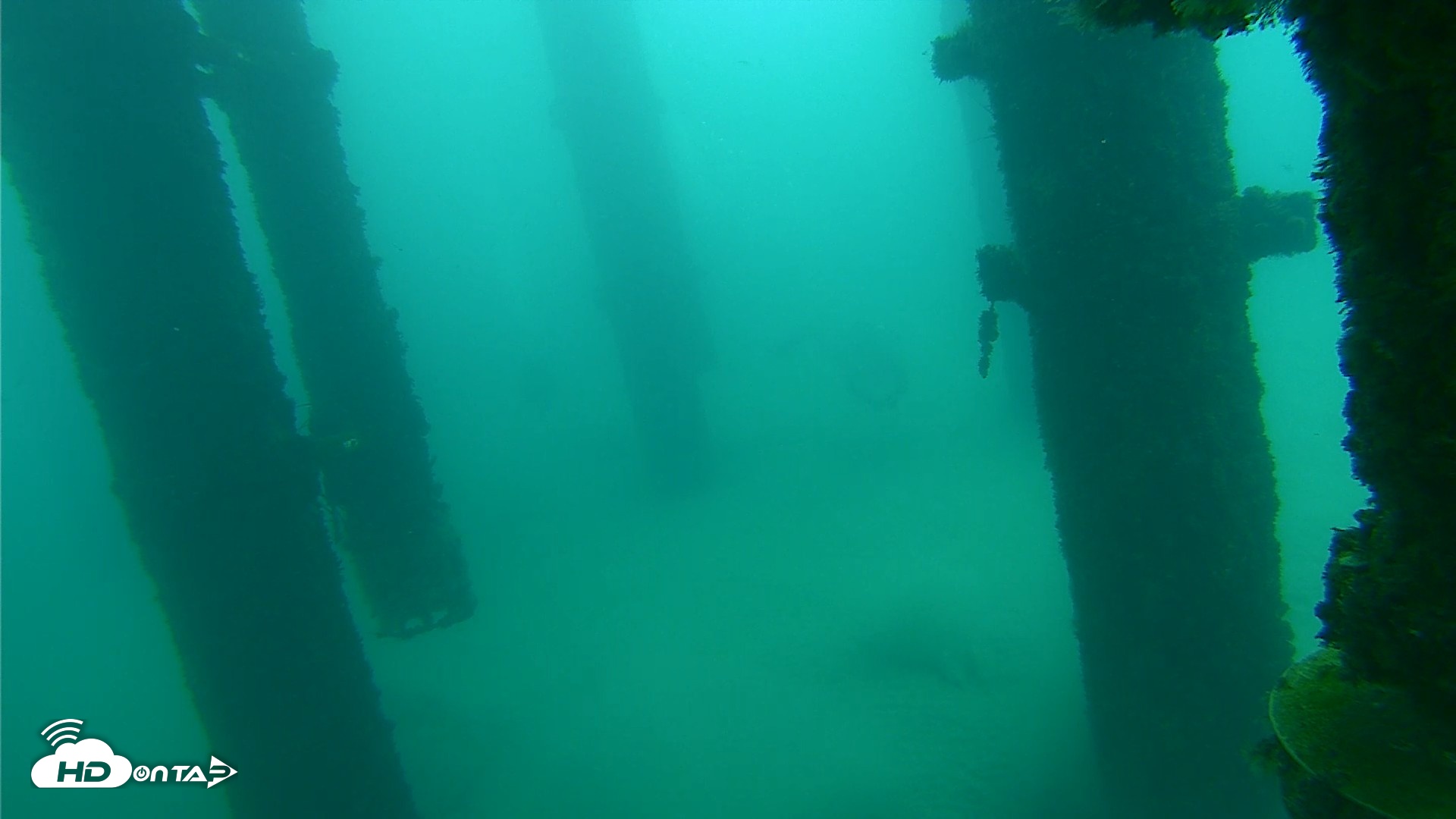 Snapshot of Scripps Pier Underwater Live Webcam taken Oct 8, 2026, 9:32am PDT