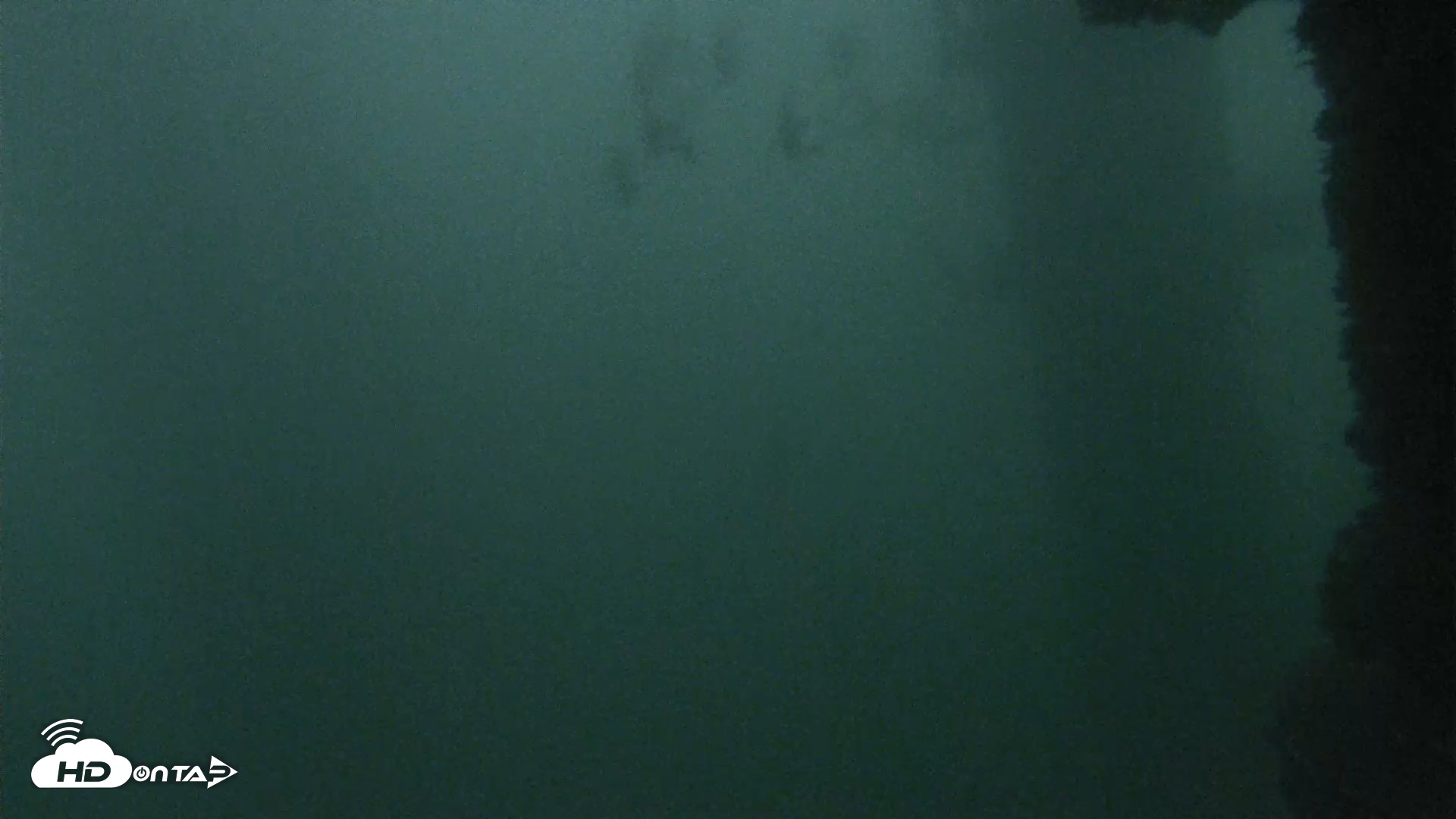 Snapshot of Scripps Pier Underwater Live Webcam taken Oct 12, 2026, 6:38am PDT
