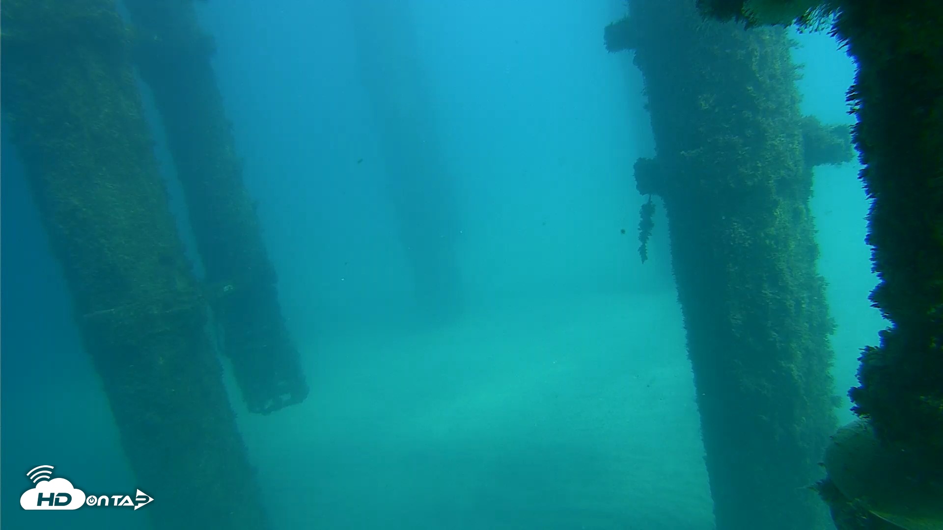 Snapshot of Scripps Pier Underwater Live Webcam taken Oct 16, 2026, 1:57pm PDT