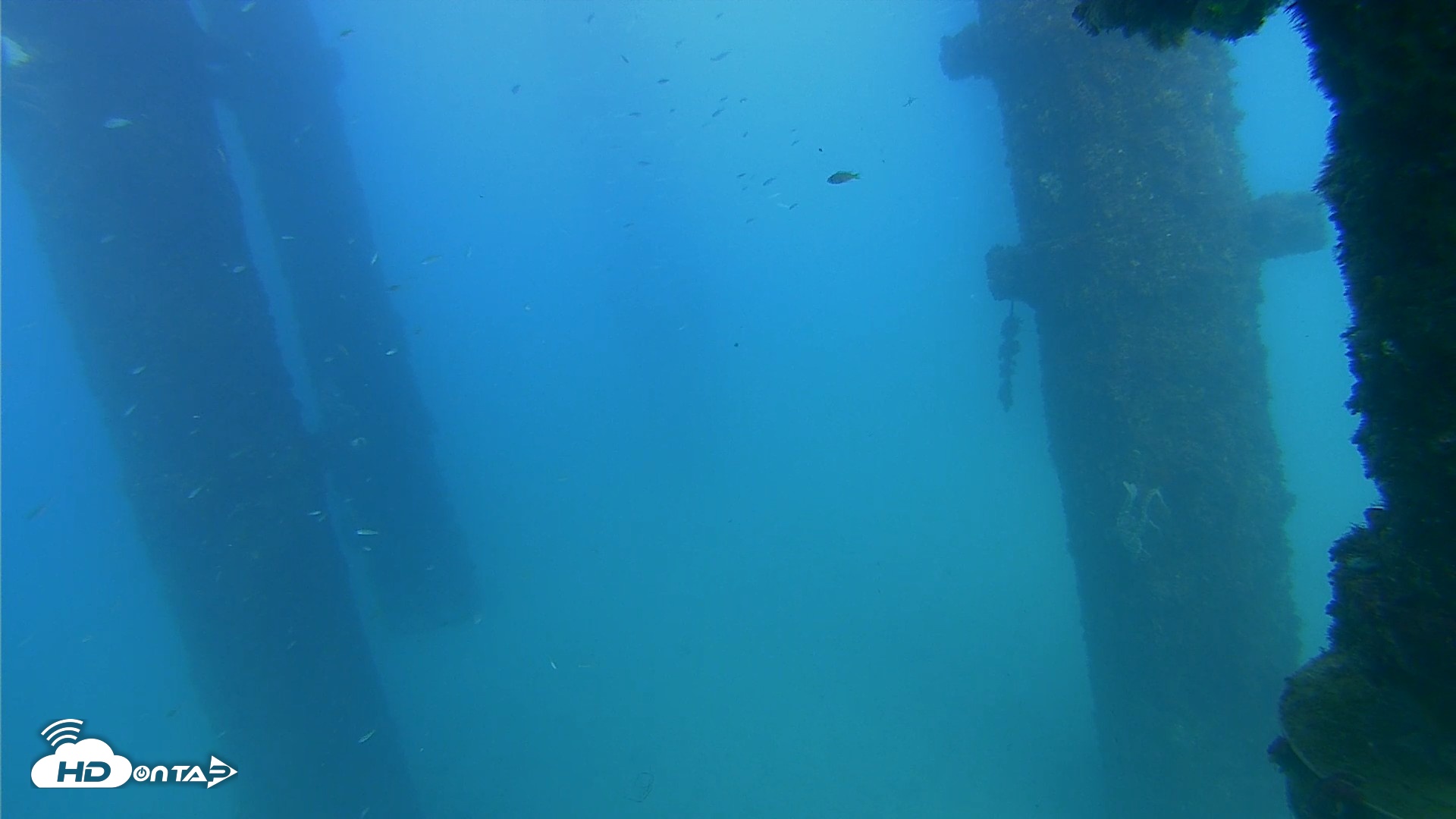 Snapshot of Scripps Pier Underwater Live Webcam taken Sep 25, 2026, 4:15pm PDT