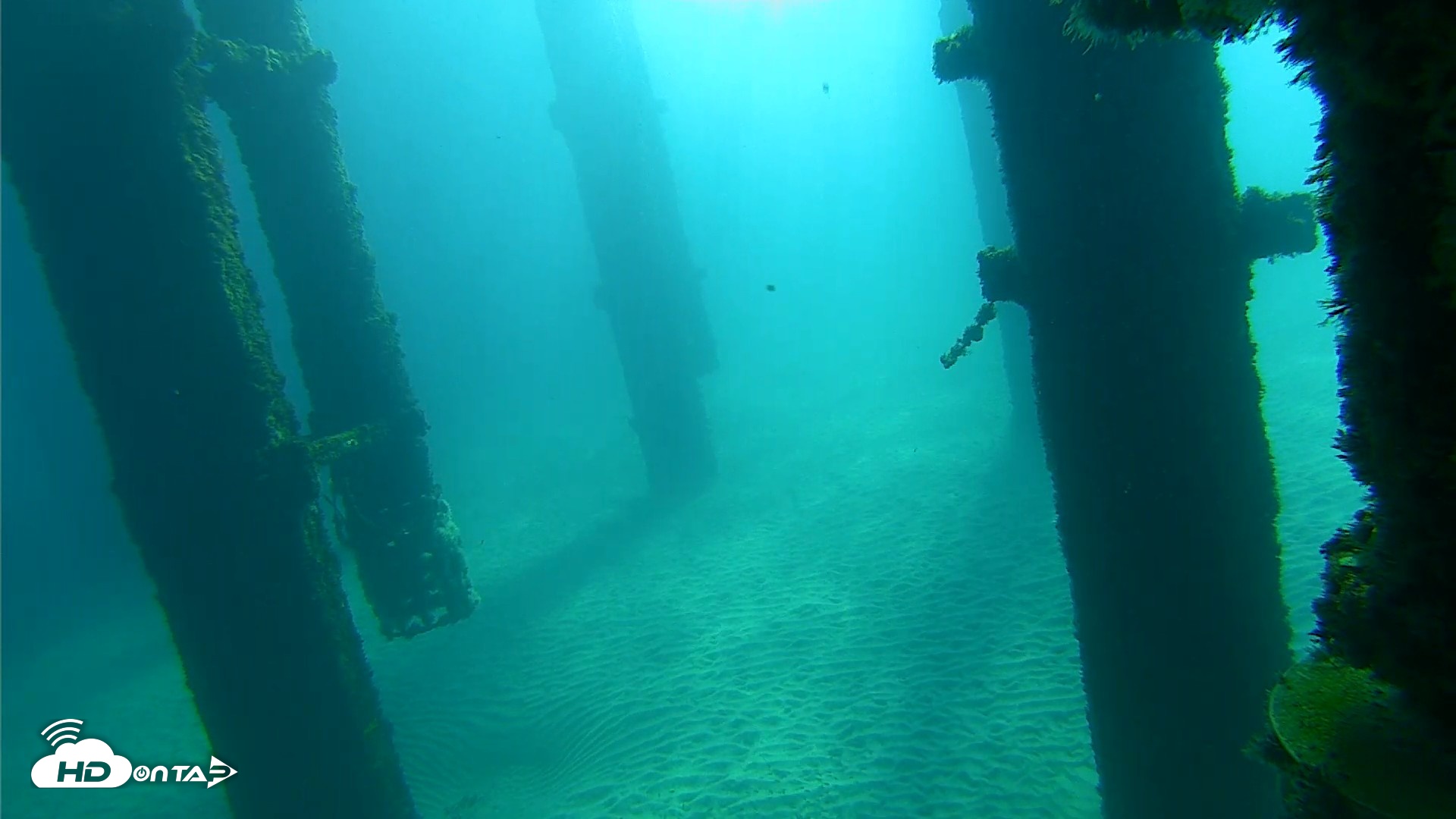 Snapshot of Scripps Pier Underwater Live Webcam taken Oct 7, 2026, 9:26am PDT