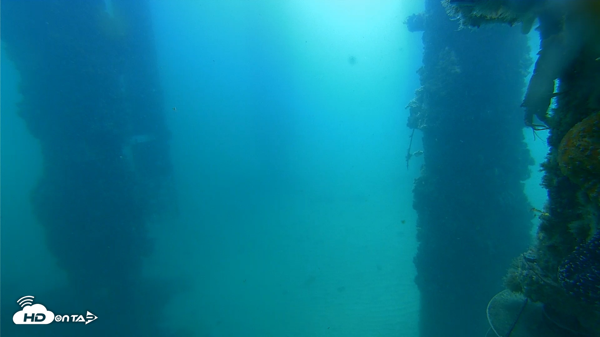 Snapshot of Scripps Pier Underwater Live Webcam taken Jul 17, 2025, 9:58am PDT