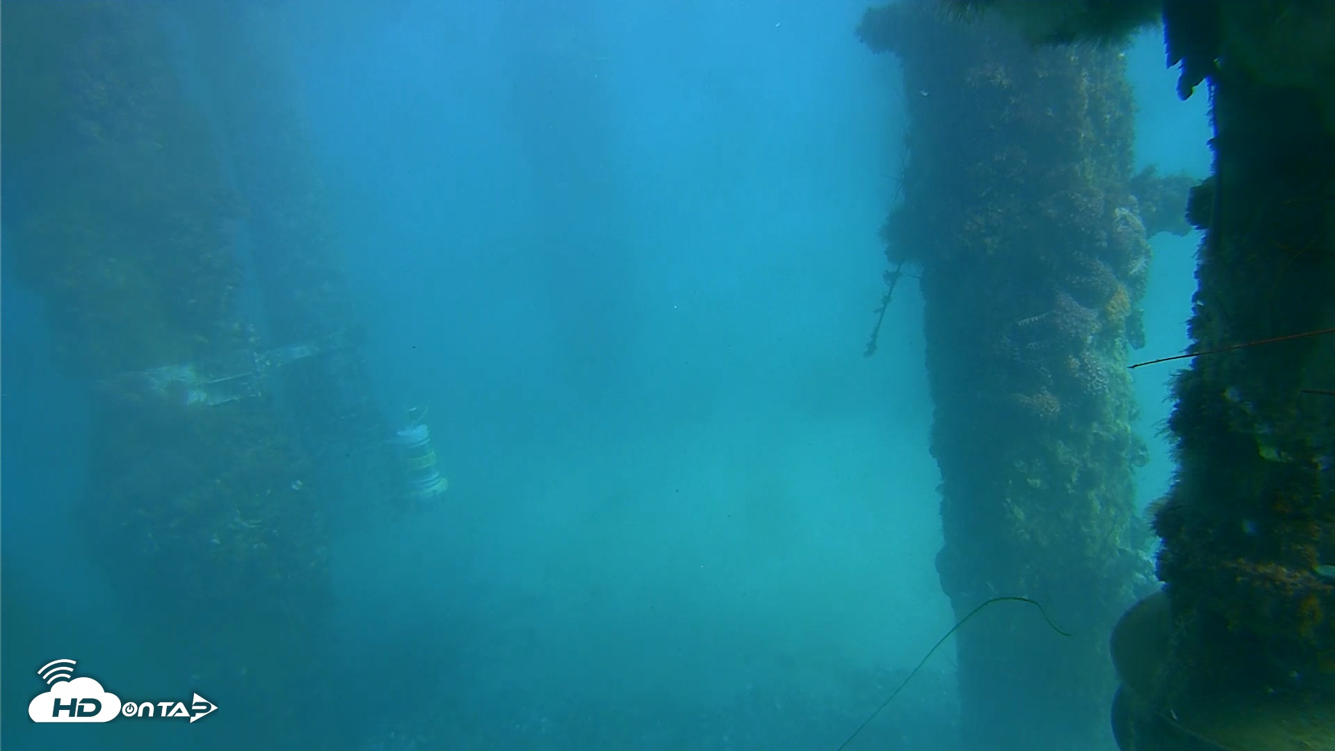 Snapshot of Scripps Pier Underwater Live Webcam taken Dec 20, 2025, 1:49pm PST