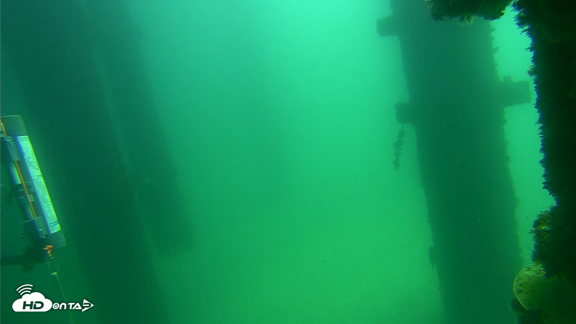 Snapshot of Scripps Pier Underwater Live Webcam taken Sep 17, 2026, 11:51am PDT