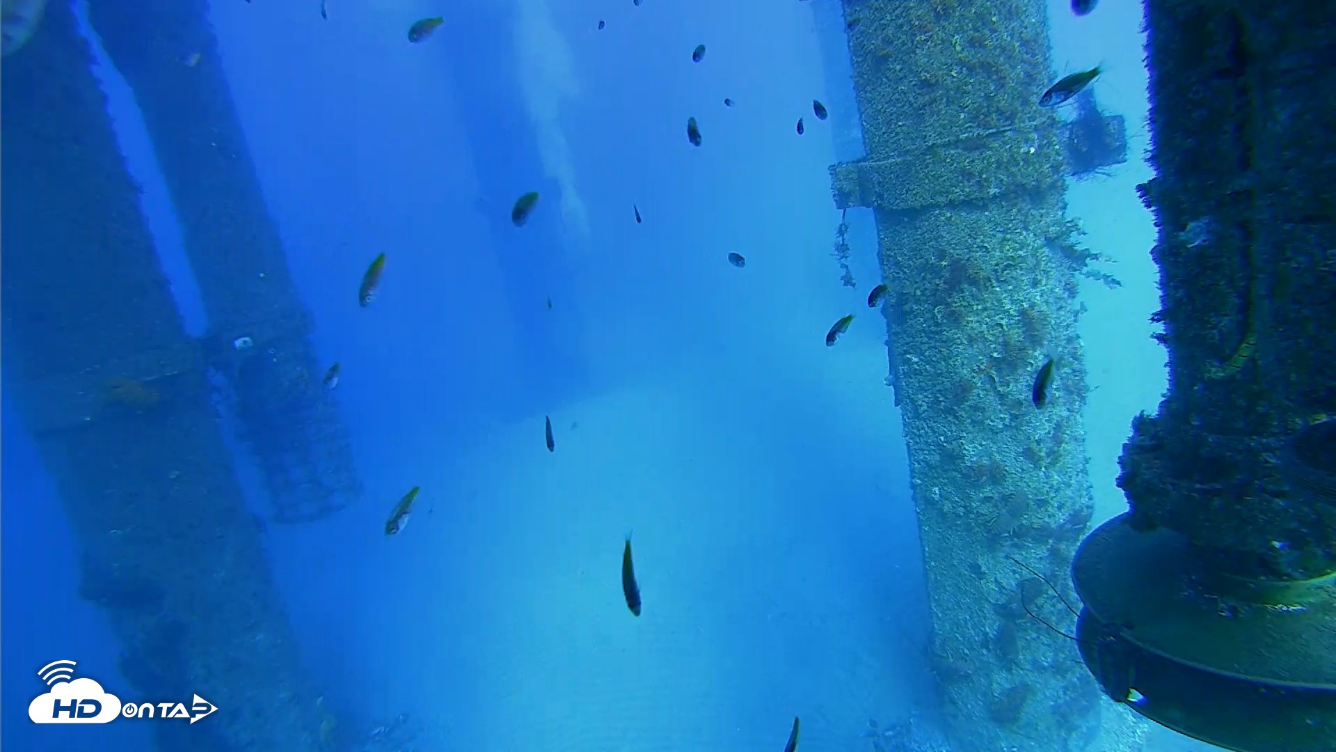 Snapshot of Scripps Pier Underwater Live Webcam taken Jul 29, 2026, 5:28pm PDT