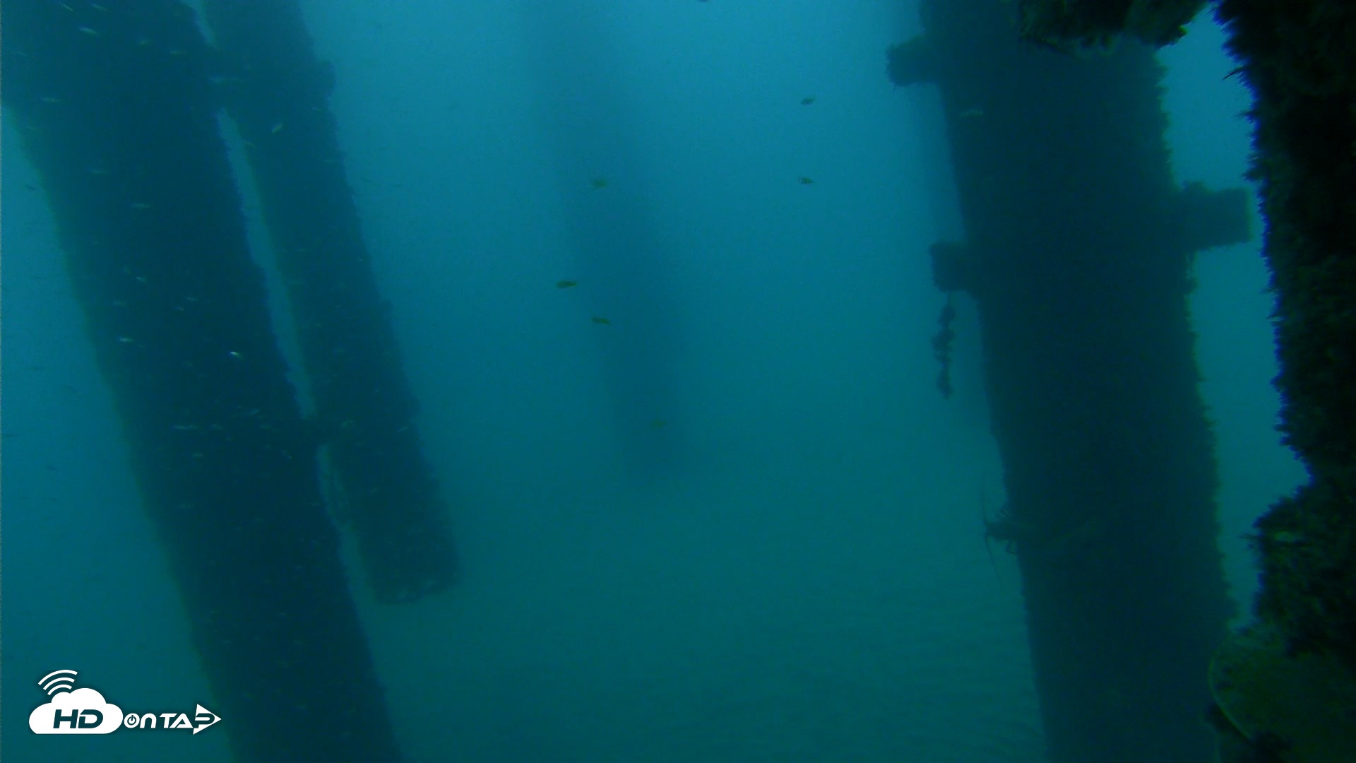 Snapshot of Scripps Pier Underwater Live Webcam taken Sep 17, 2026, 6:50am PDT