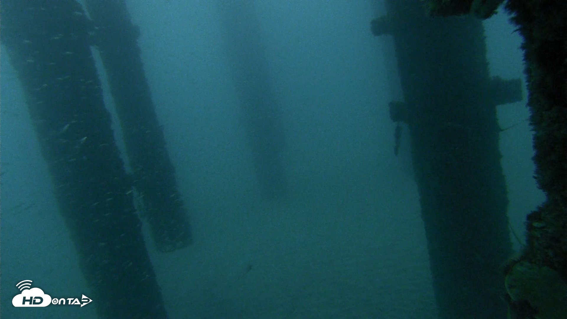 Snapshot of Scripps Pier Underwater Live Webcam taken Sep 17, 2026, 6:31am PDT