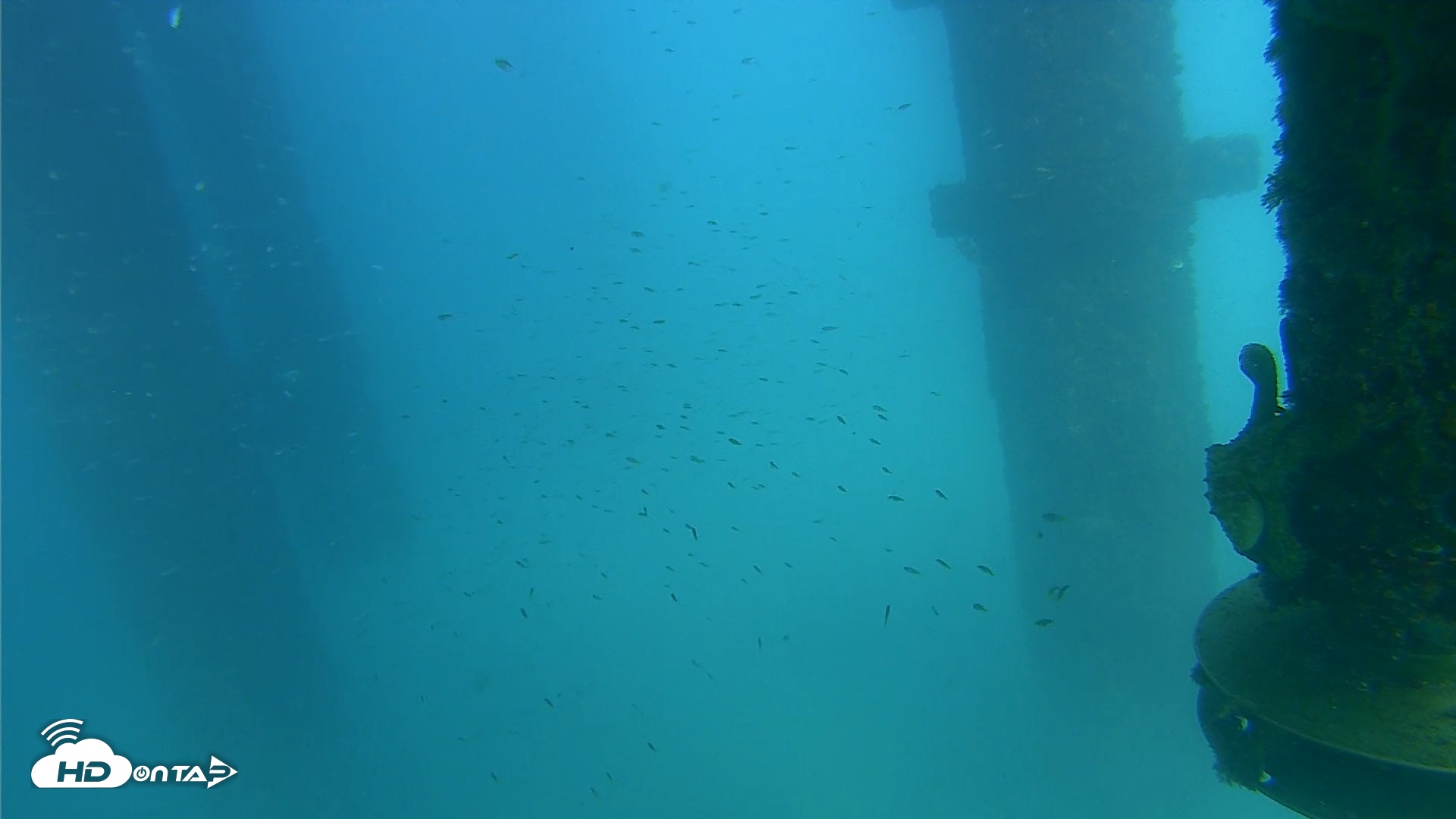 Snapshot of Scripps Pier Underwater Live Webcam taken Aug 27, 2026, 3:21pm PDT